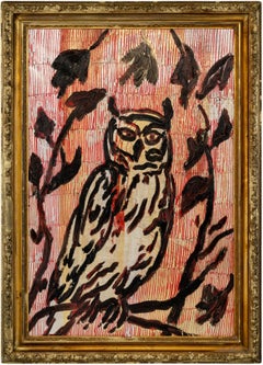 Owl Albania