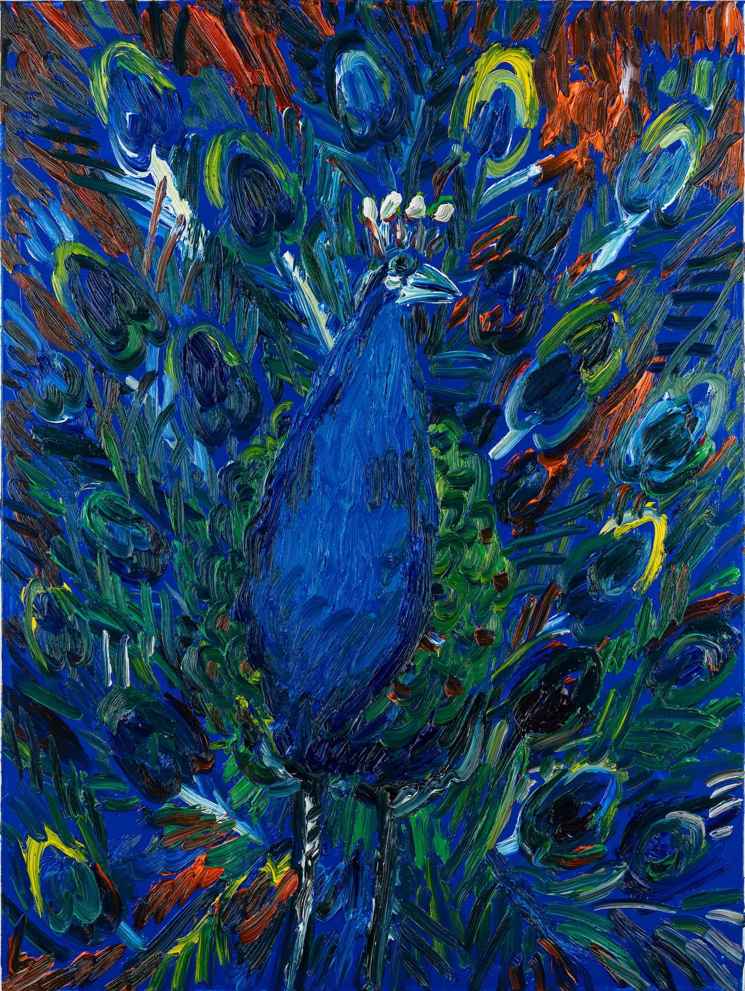 Peacock After Madewood