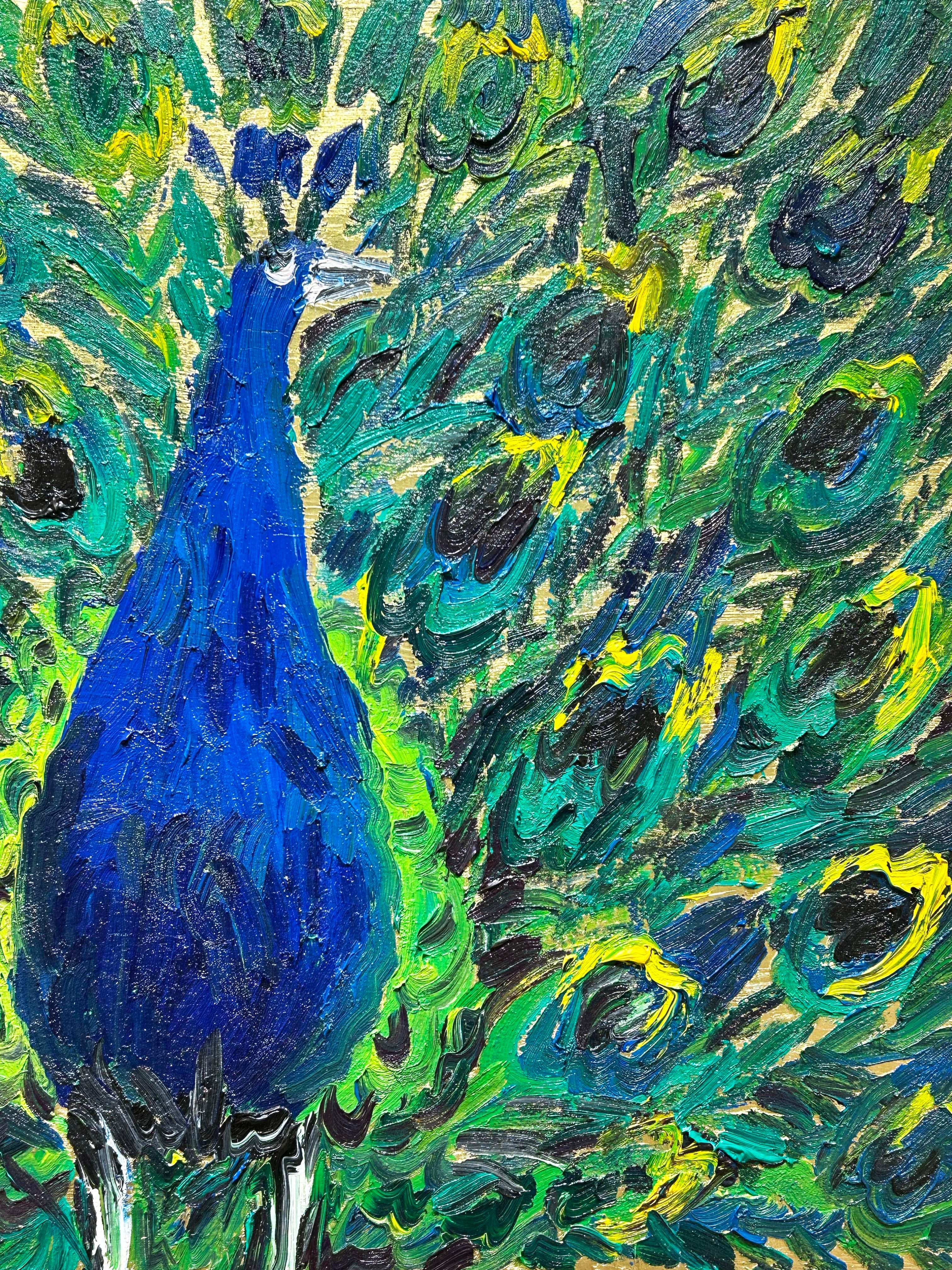 Peacock Albania For Sale 2
