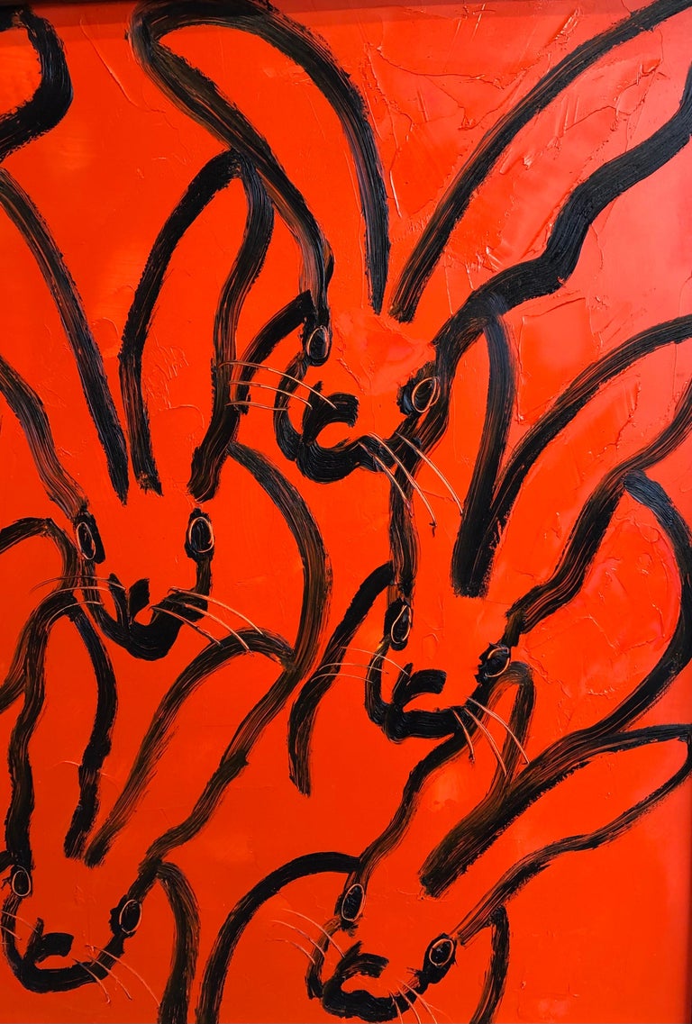 Red Rabbit For Sale 3