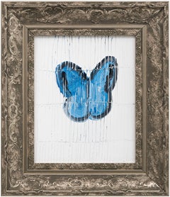 Single Morpho