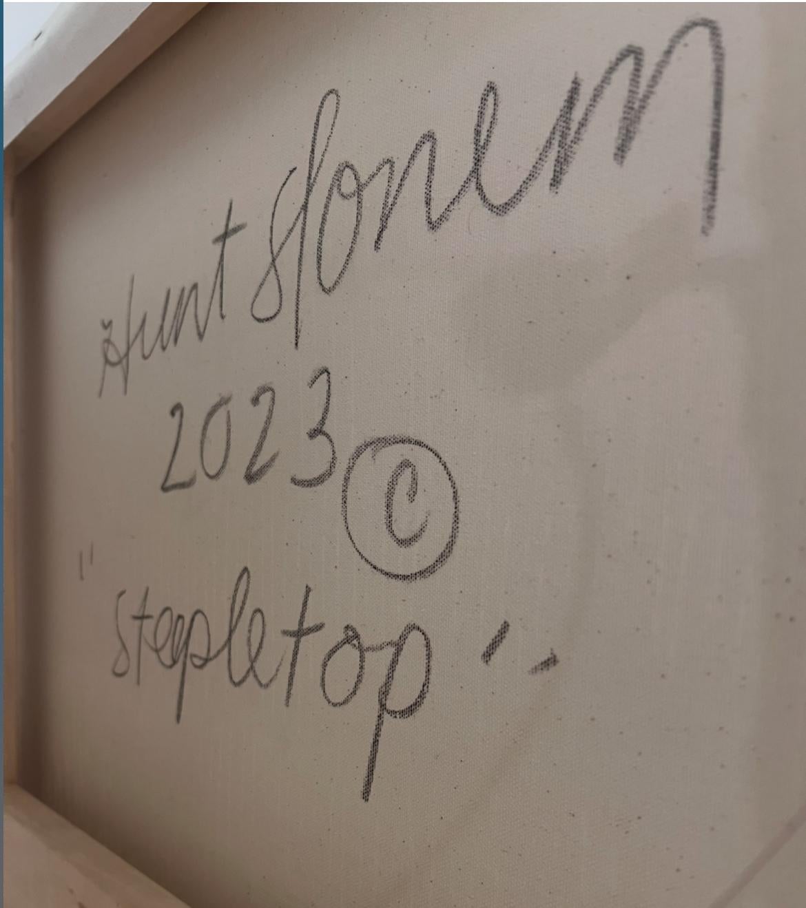 Steepletop en venta 3