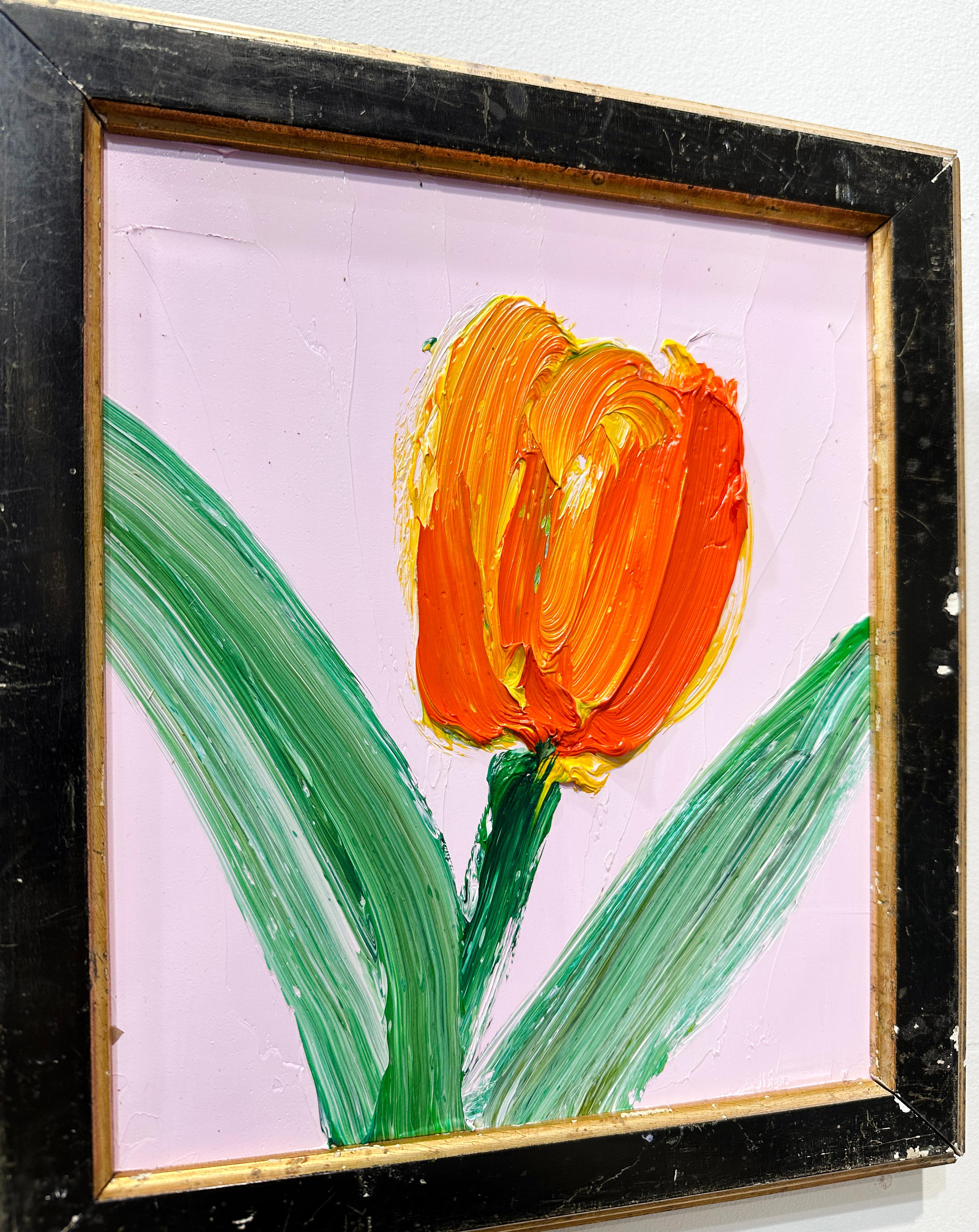 Tulip For Sale 1
