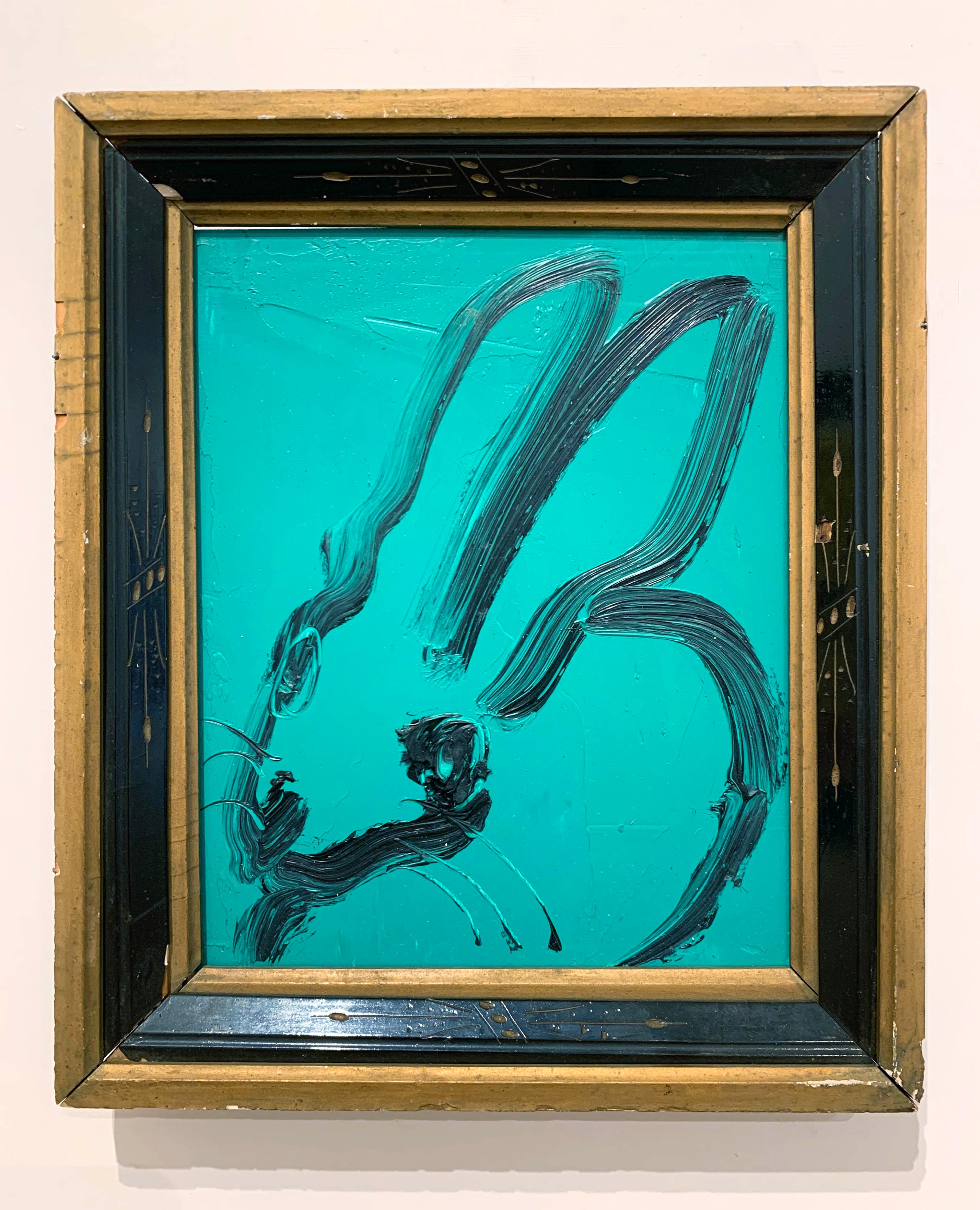 sea bunny for sale