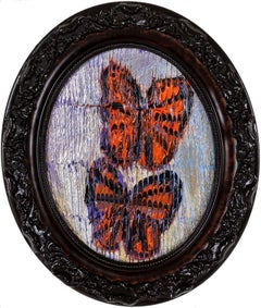 Viceroys "Oval" (ovale)