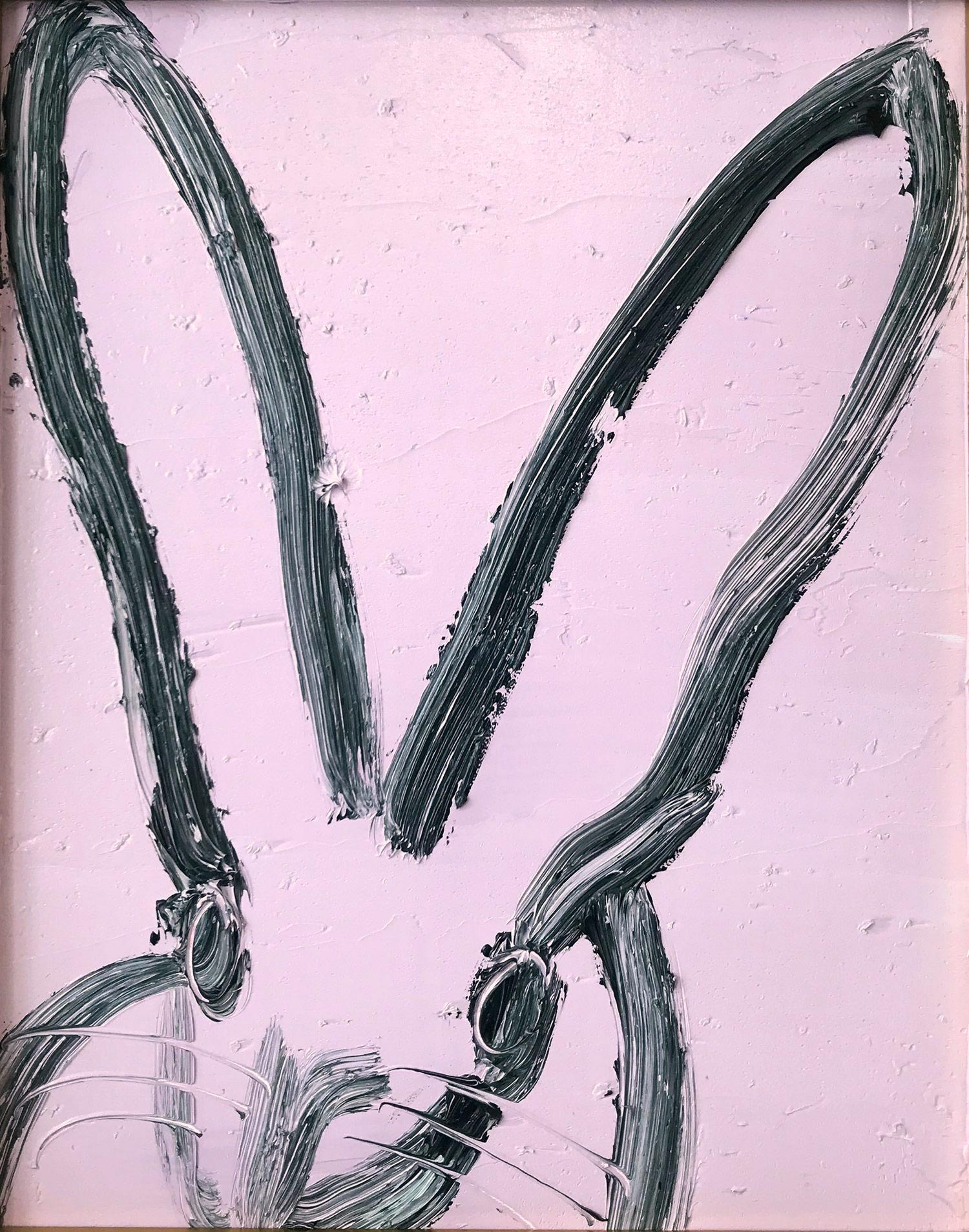 viola bunny
