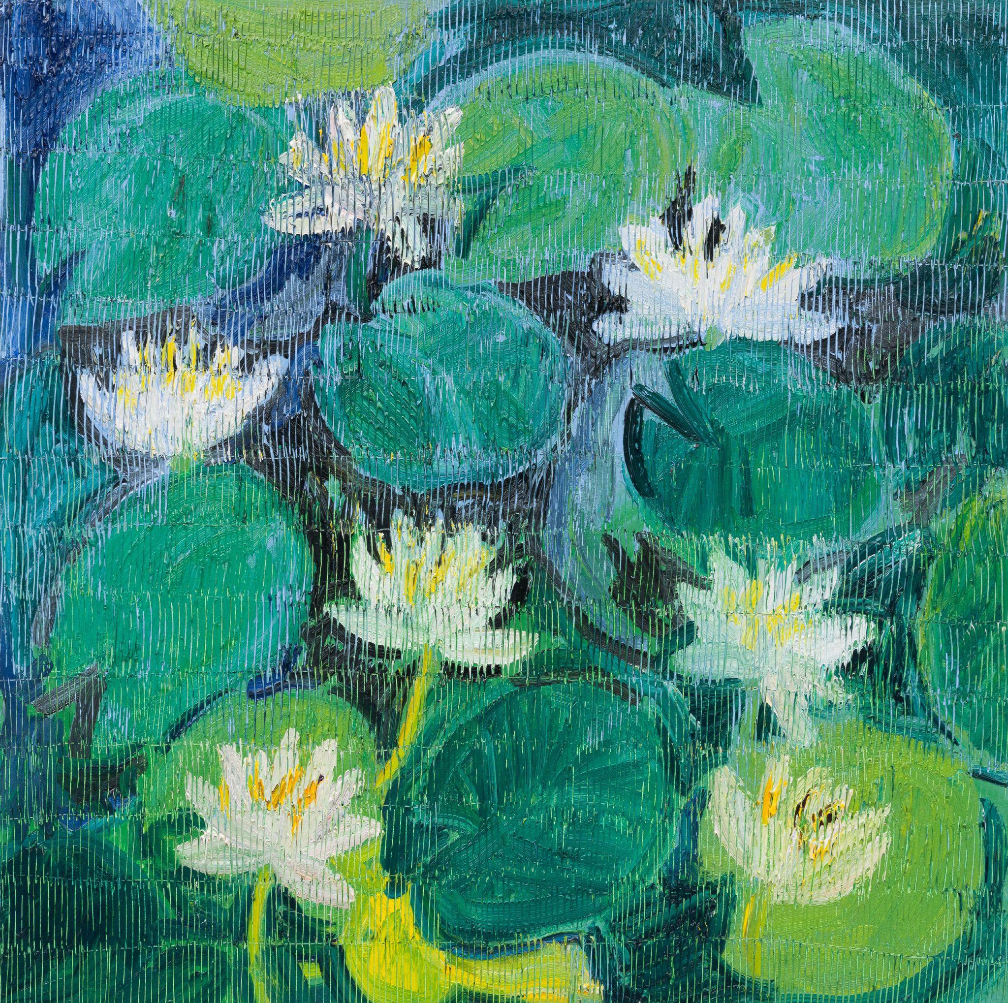 White Water Lilly's