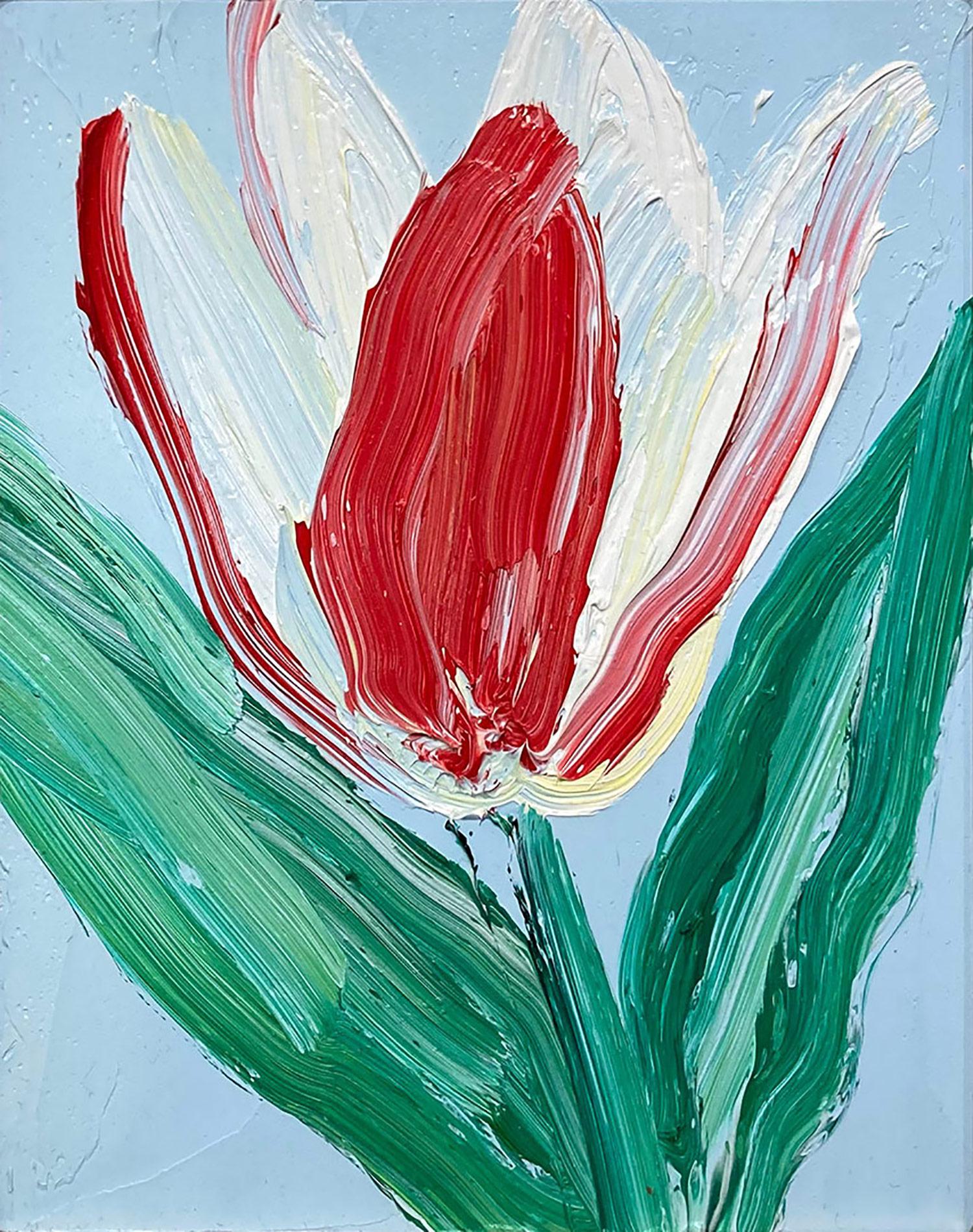 „Wide Open“ Rot-weiße Tulpe auf hellem Himmelblauem Hintergrund, Ölgemälde, gerahmt – Painting von Hunt Slonem
