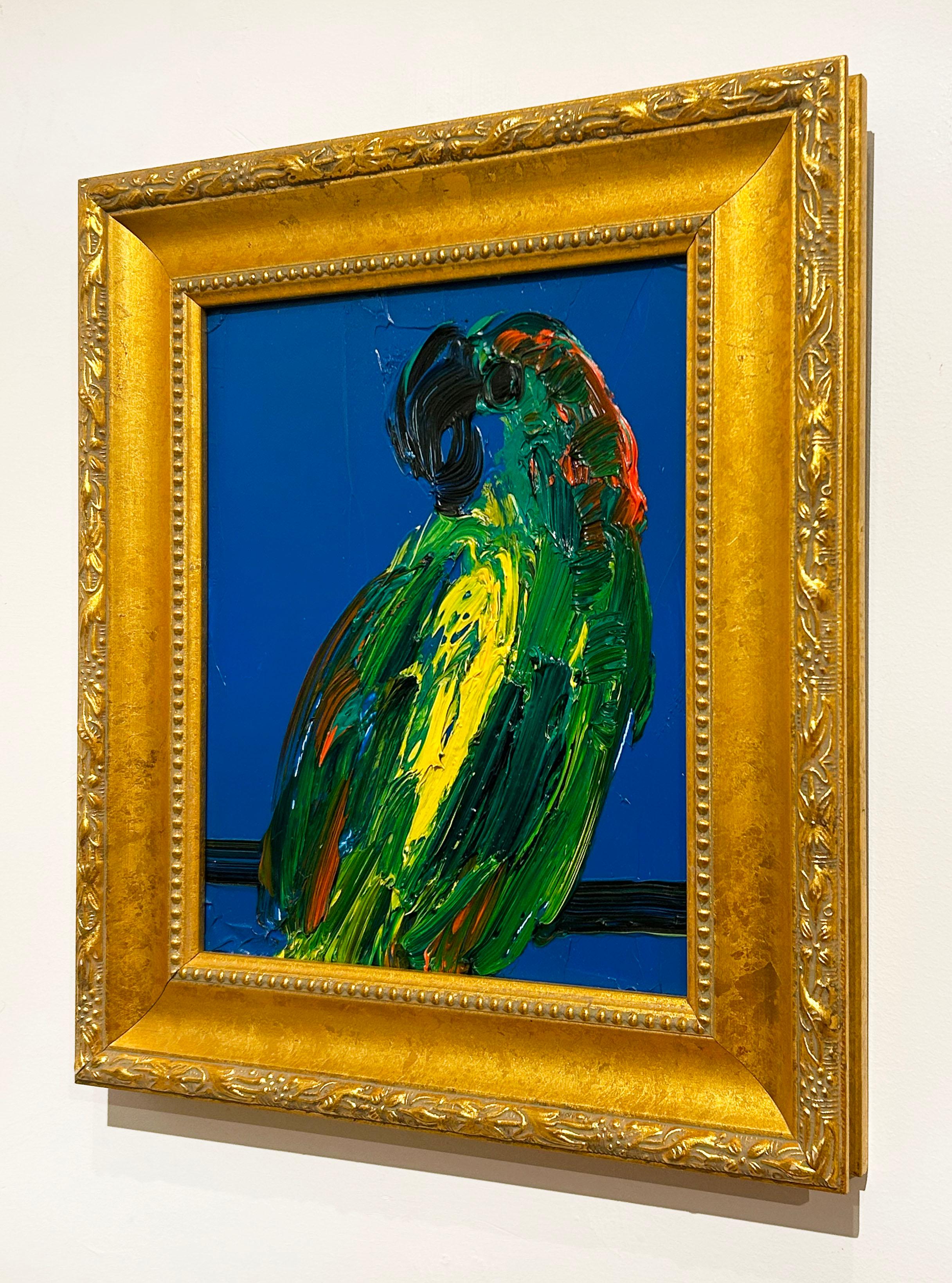 Yellow Front Amazon 1