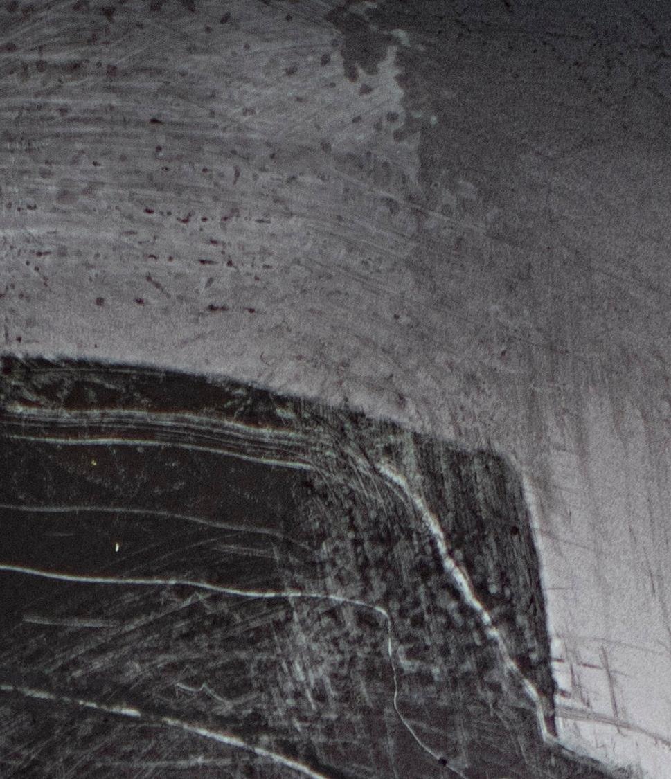 Laßt Blumen Sprechen y Díptico de fieltro. Fotografía retrato en técnica mixta en venta 3