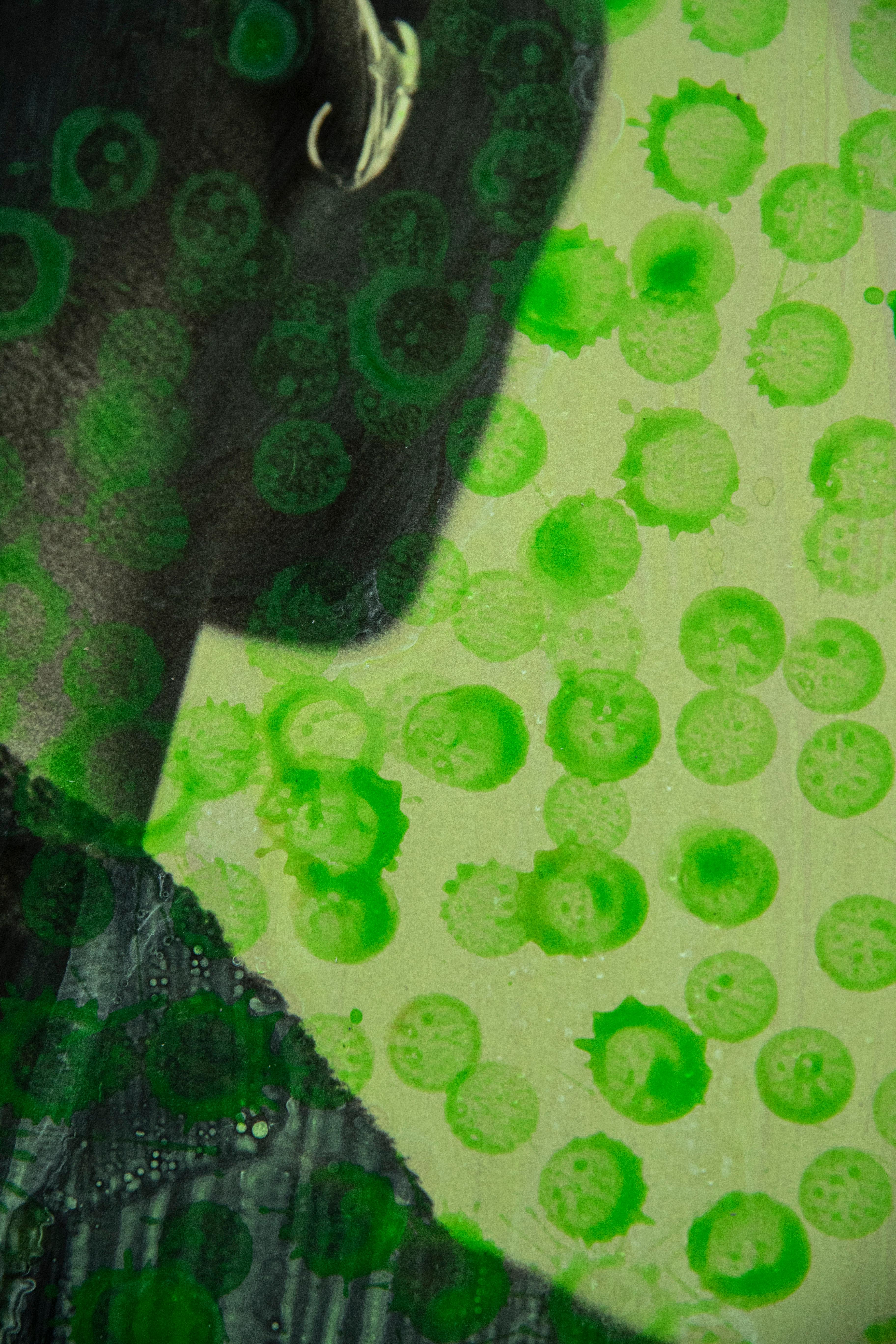 LV, aus der Serie Lous und The Yakuza. Mischtechnik-Mode-Farbfotografie (Grün), Color Photograph, von Hunter & Gatti