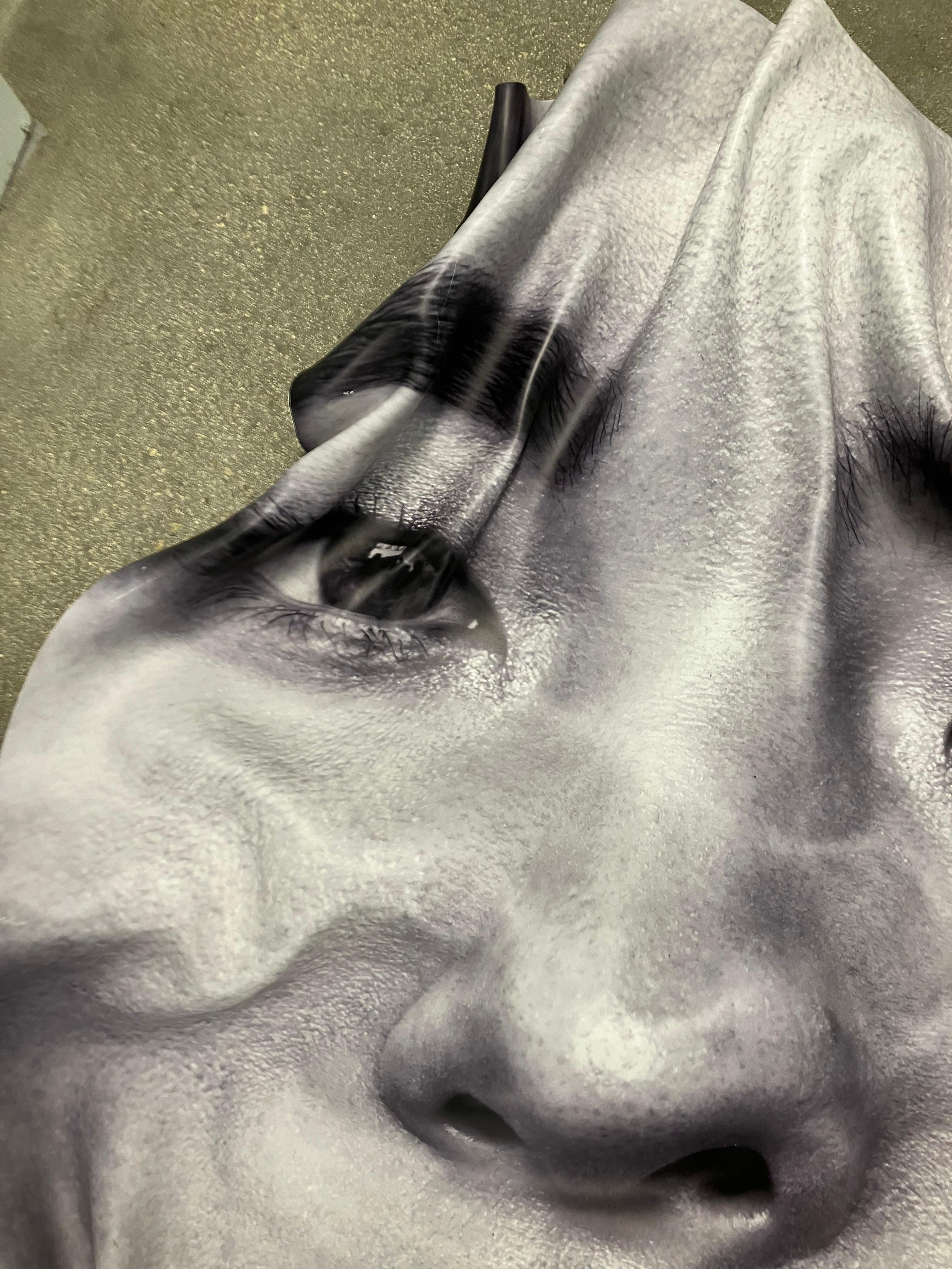 Diptyque : Kate Hudson et LIU Wen, Portrait, sculptures murales tridimensionnelles en vente 5