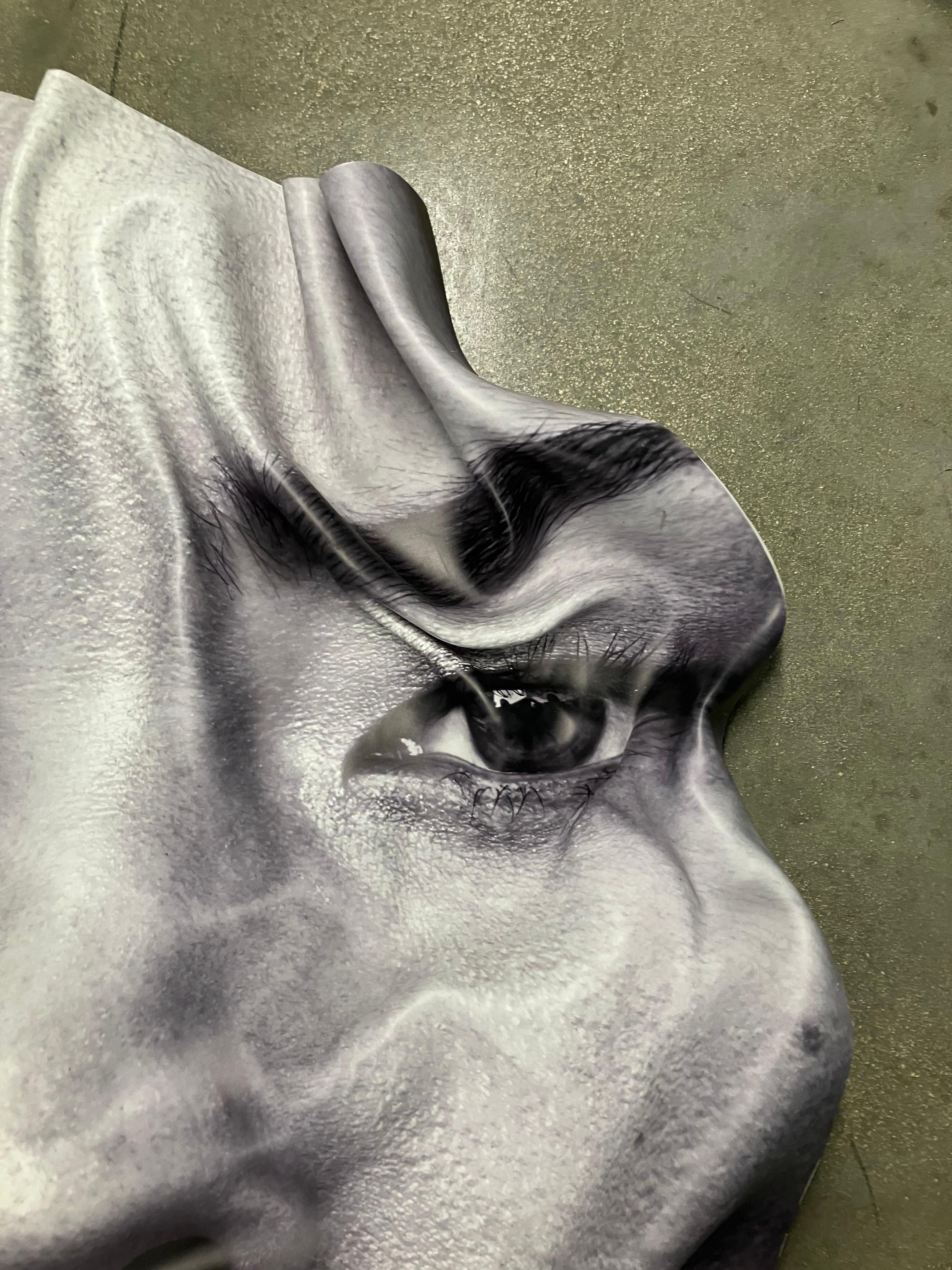 Diptyque : Kate Hudson et LIU Wen, Portrait, sculptures murales tridimensionnelles en vente 6