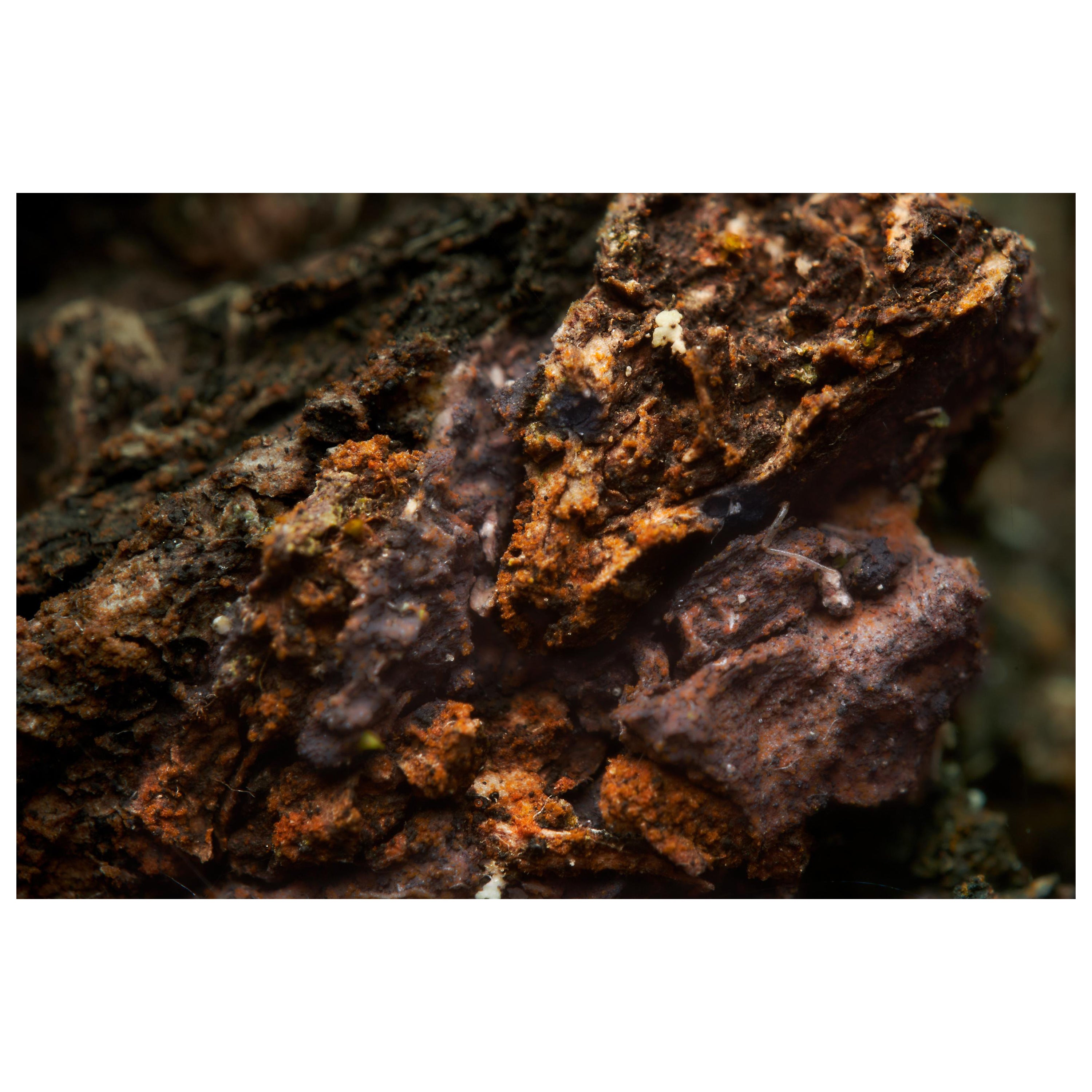 "Le chasseur et la prière", édition limitée, photographie abstraite de Marko Milić. en vente