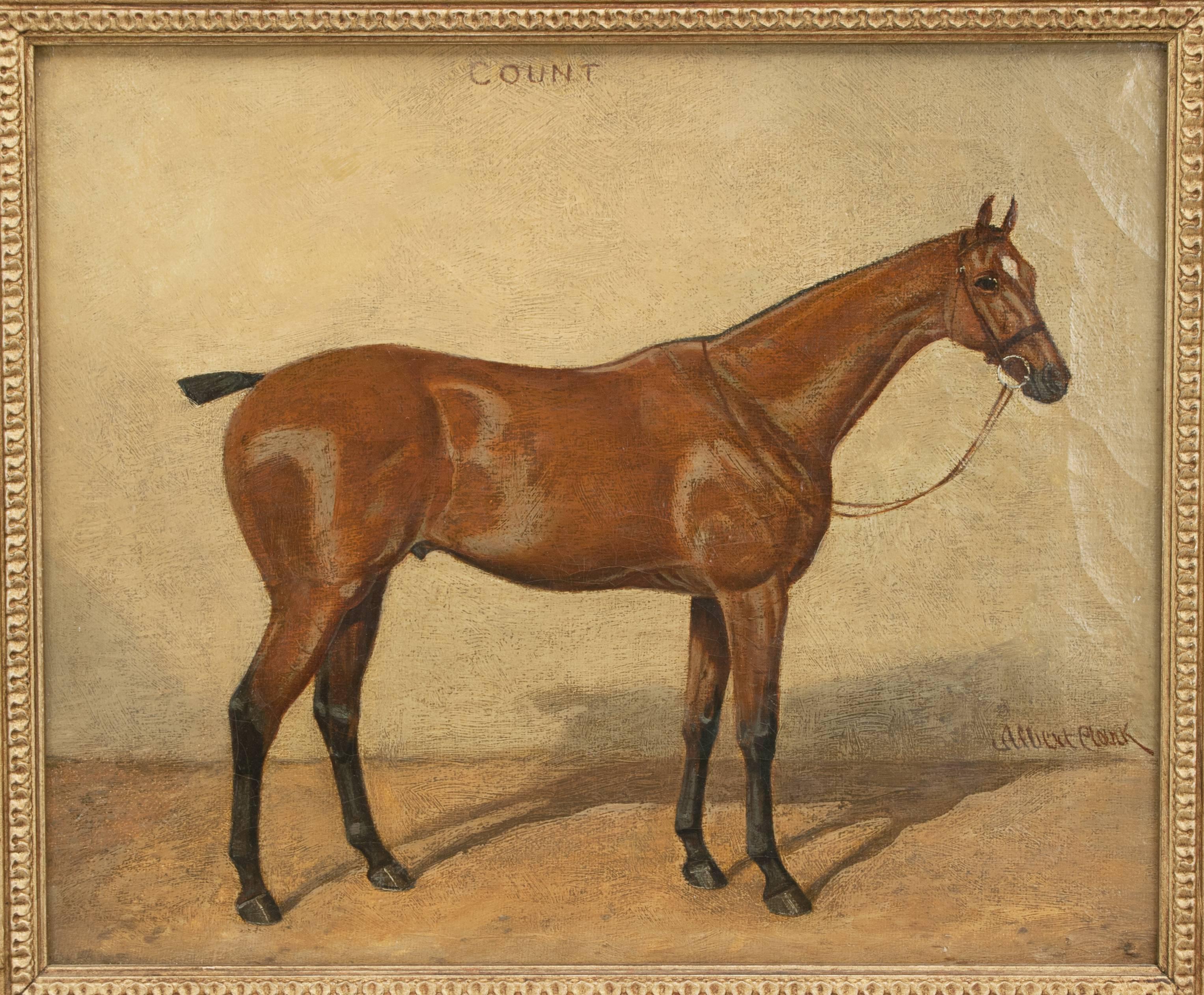 Vintage equestrian oil painting.
A fine oil painting on canvas of a race Horse 'COUNT' in a stable. Painted by Albert Clark. Framed in a new gold frame.

Dimensions: 
H 24.5cm x W 29.5cm
H 9½