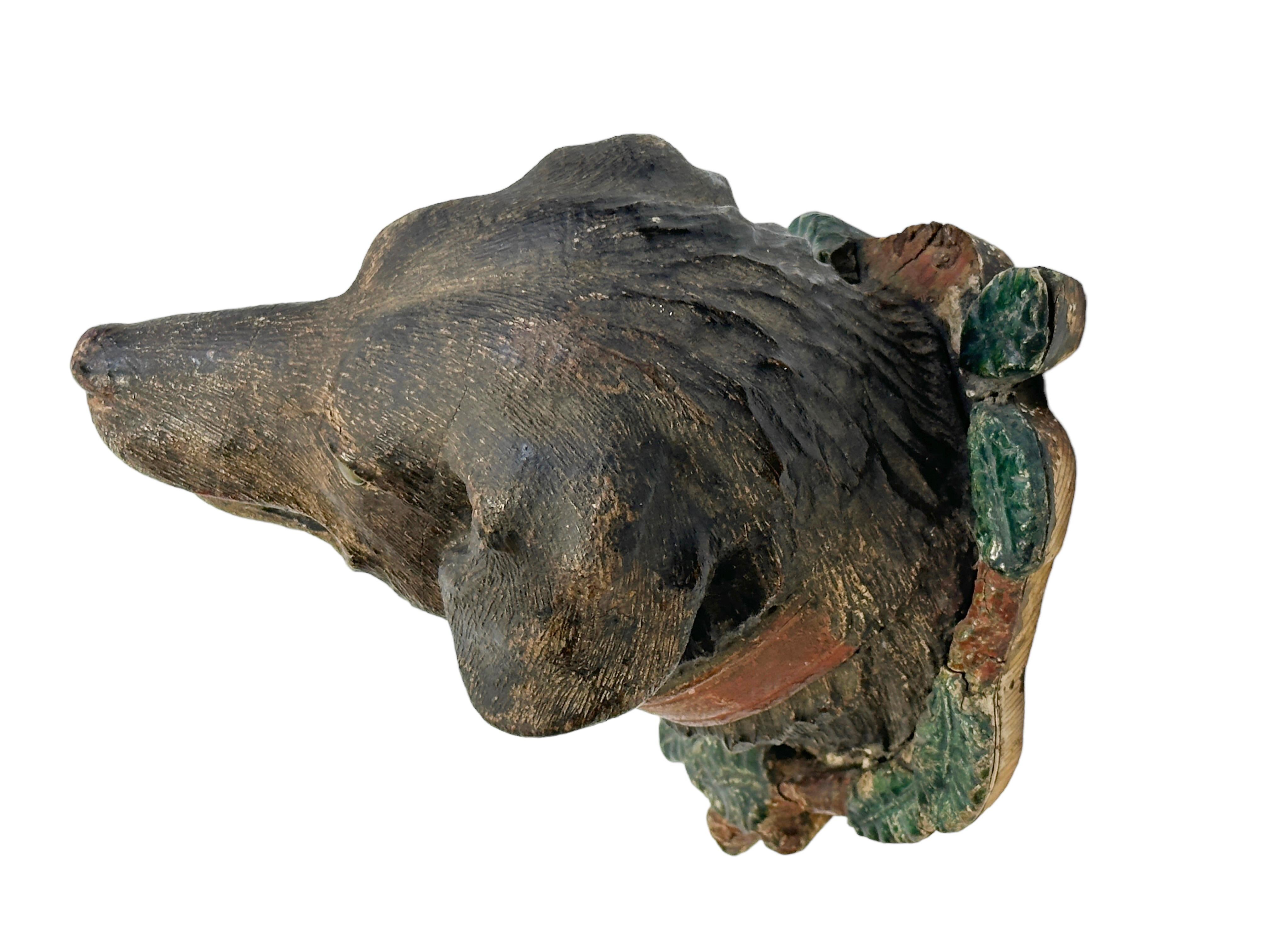 Tête de chien de chasse Black Forest Trophée en bois sculpté à la main, 19e siècle en vente 2