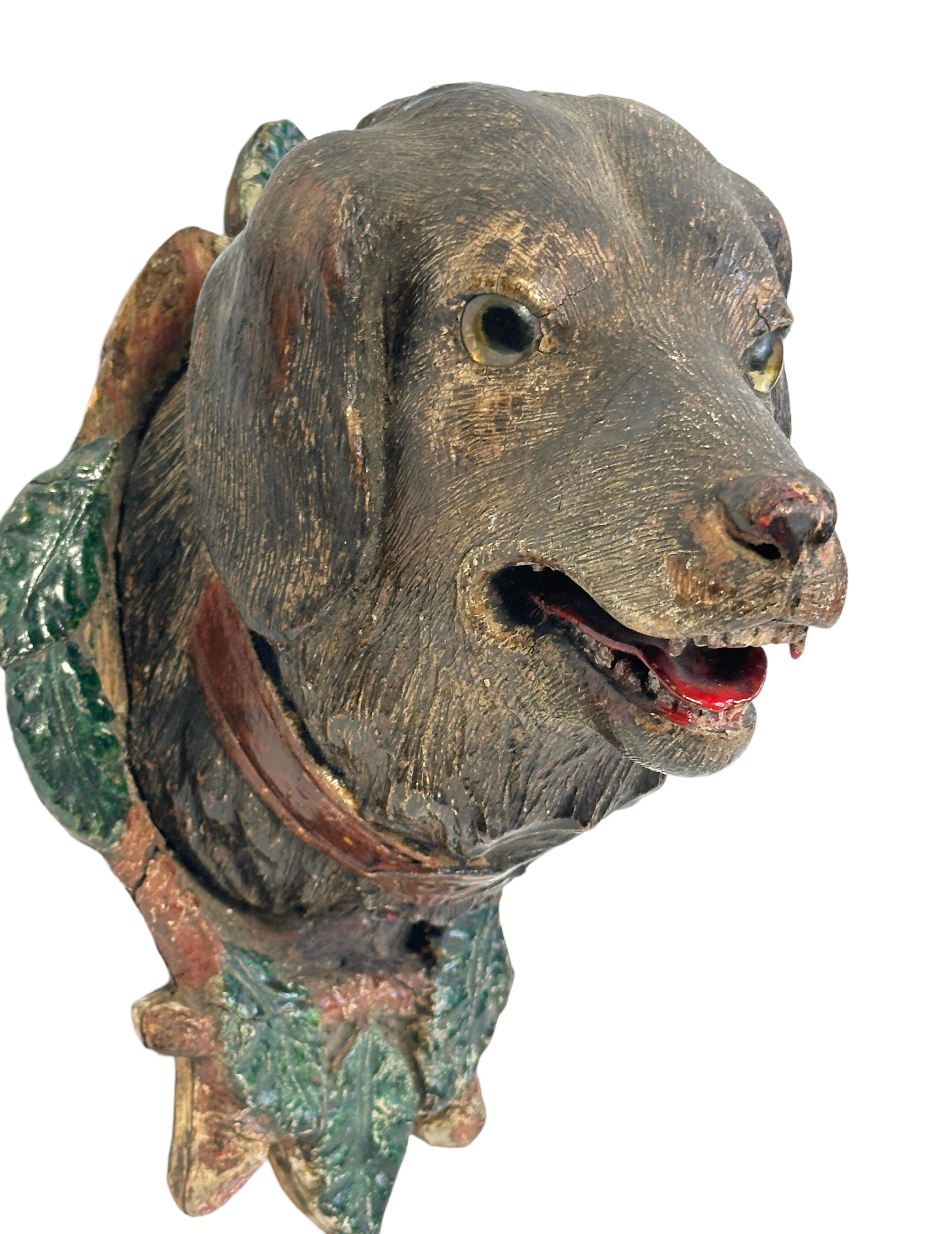 Bois Tête de chien de chasse Black Forest Trophée en bois sculpté à la main, 19e siècle en vente