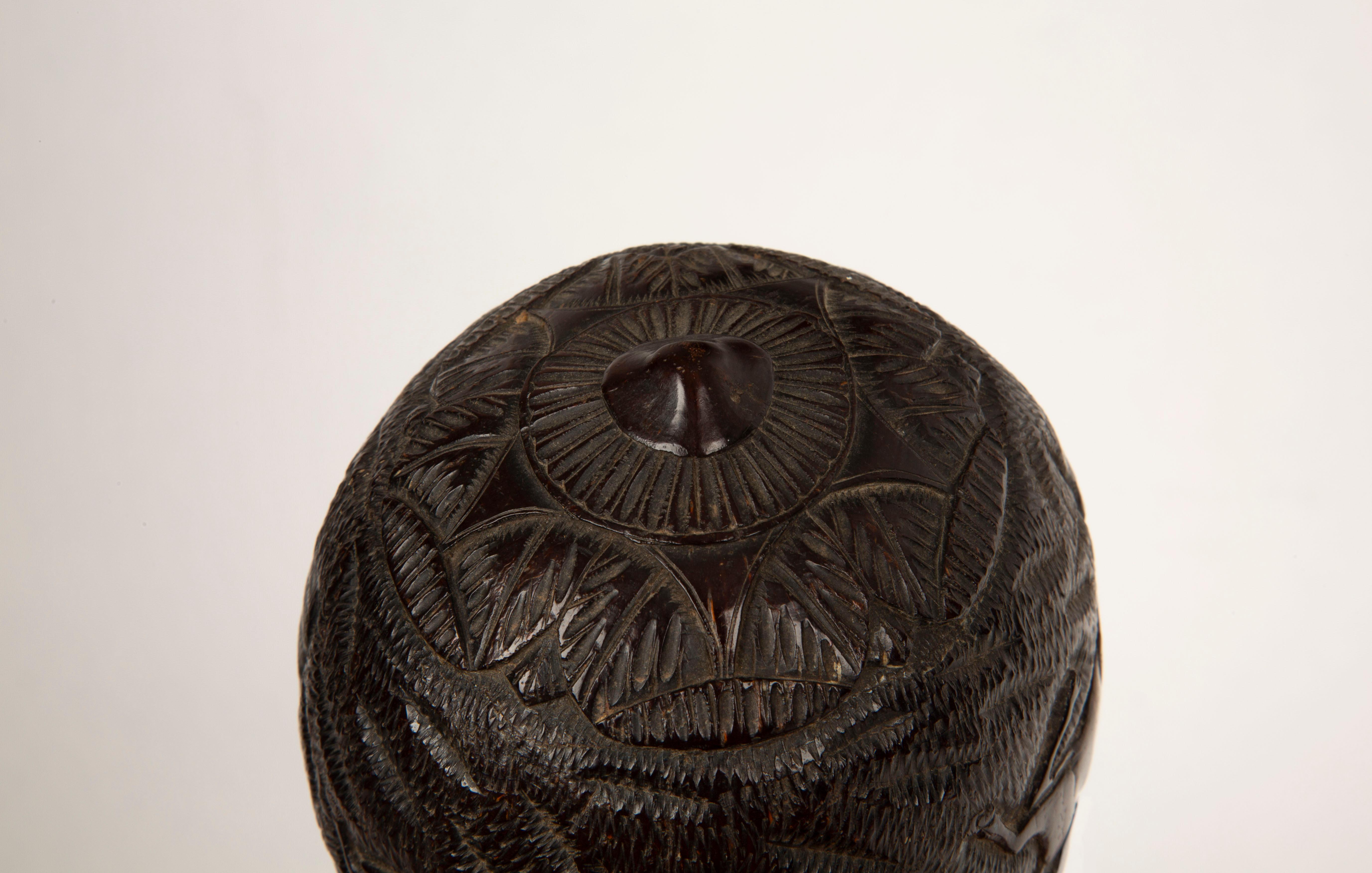 Tales de chasse : Rare Flacon de chouette en noix de coco sculpté du 19e siècle de style colonial français en vente 2