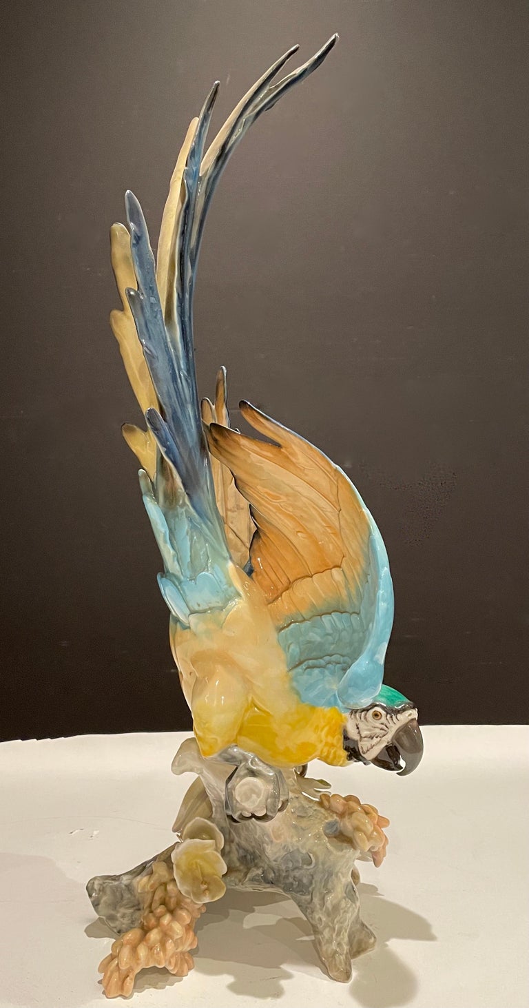 Large Hutschenreuther Porcelain Colorful Blue-and-Gold Macaw
