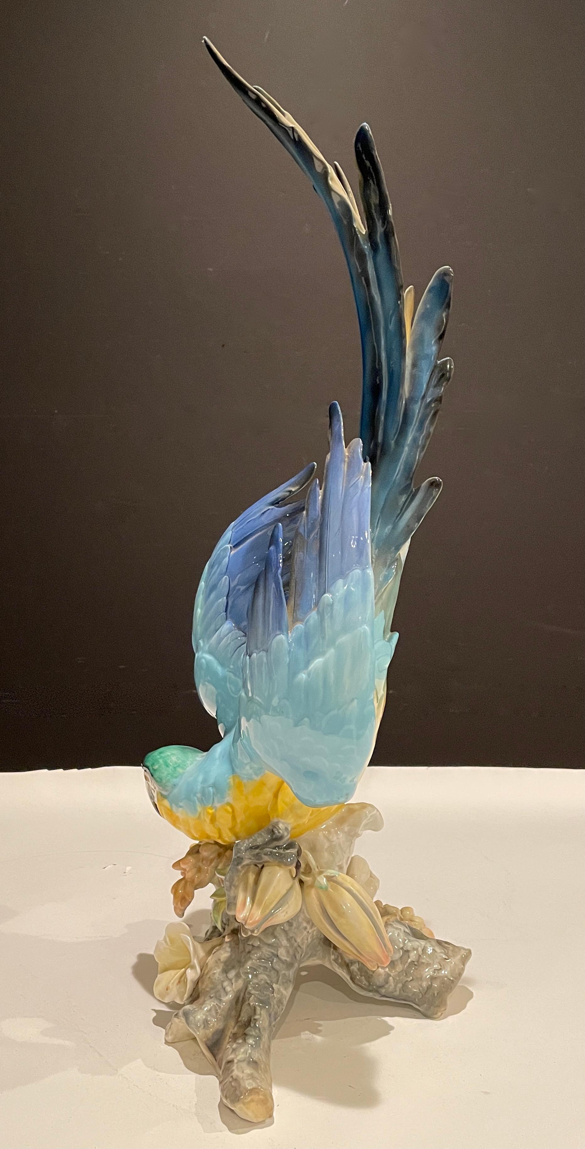 Großer farbenfroher blau-goldener Macaw aus Hutschenreuther-Porzellan, tropischer Papagei, tropischer Papagei (Mitte des 20. Jahrhunderts)
