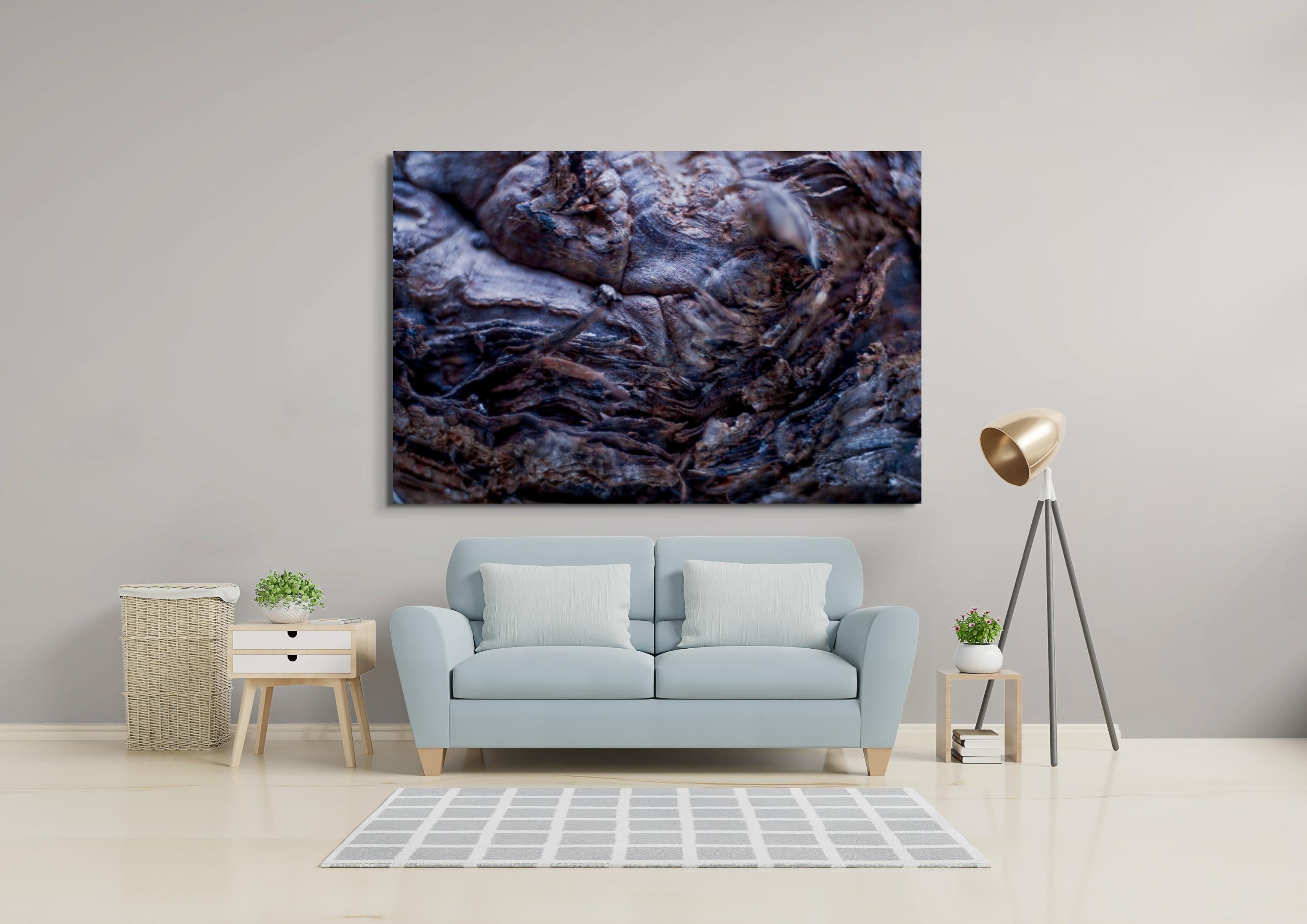 Macrofotografía - Impresión Giclée sobre papel de archivo Hahnemühle de 308 g/m².
Máxima calidad - Propiedades de archivo con una duración de hasta 400 años
La impresión se producirá, numerará y firmará en el momento de la compra, y se enviará en un
