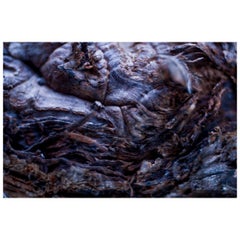 "Hydra", édition limitée, photographie abstraite de Marko Milić