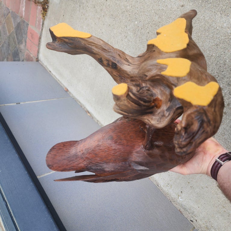 Stunning hyper realistic duck carving, standing on a worn piece of driftwood. So much detail almost on a microscopic level. The detail doesn't take away from the overall aesthetic, obviously carved by a master wood carver. Our shop is located on the