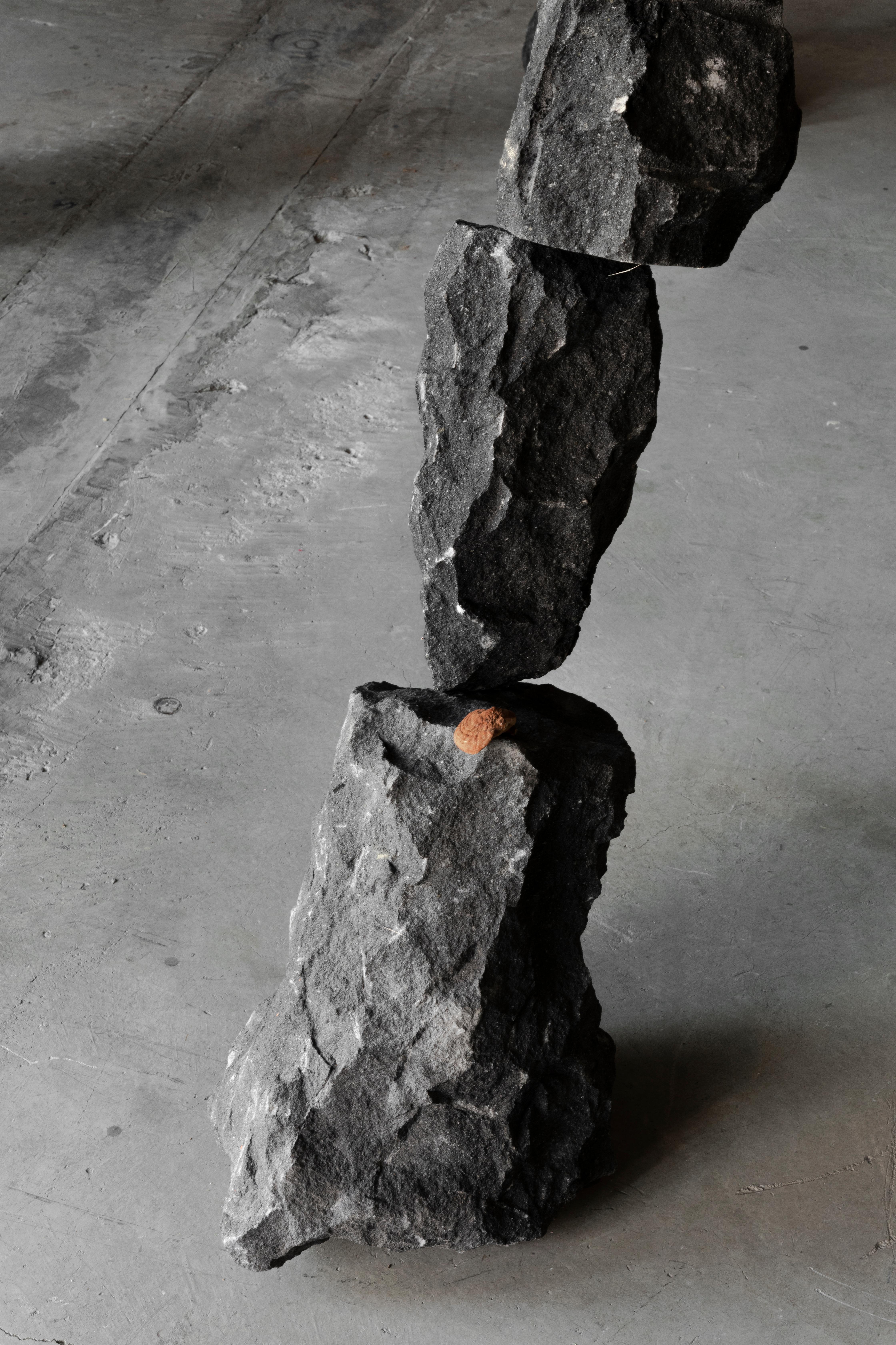 Hyphae Branch-Like Structure Black Basalt Sculpture by Andres Monnier For Sale 3