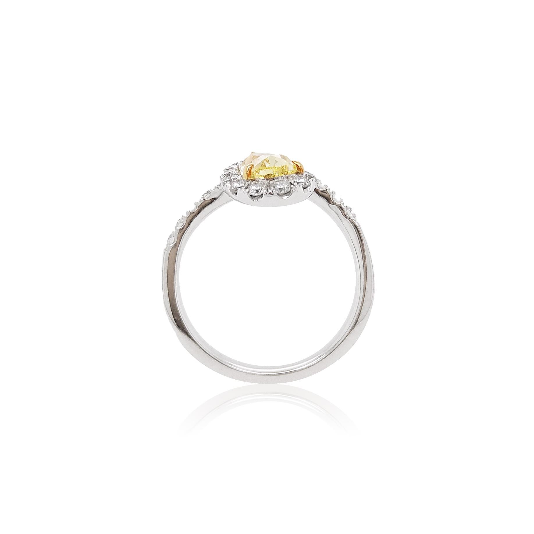 This elegant ring features a lustrous Fancy Intense Yellow Diamond surrounded by a halo of glistening diamonds, in a design that is fast becoming a modern classic. Set in platinum to enrich the lustre and the bright sparkle of the diamonds, this