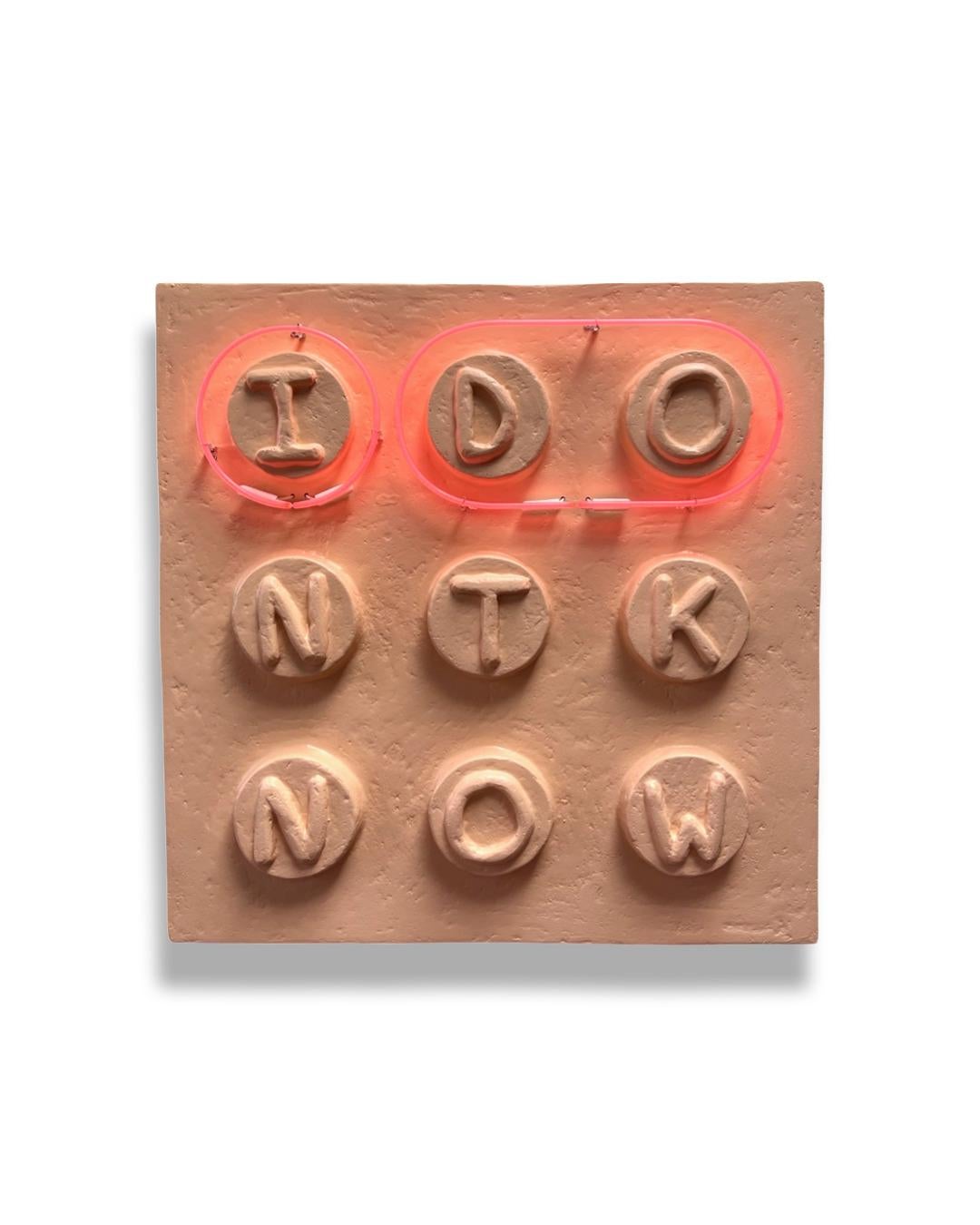 “I Don’t Know” by Brent Warr is a bold wall sculpture that blends language, light, and material into a striking conceptual statement. Set within a square fiberglass panel, nine sculpted letters are arranged in a grid to spell out the phrase “I Don’t