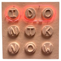 "I Don't Know" Neon and Fiberglass Wall Sculpture Art by Brent Warr Studios