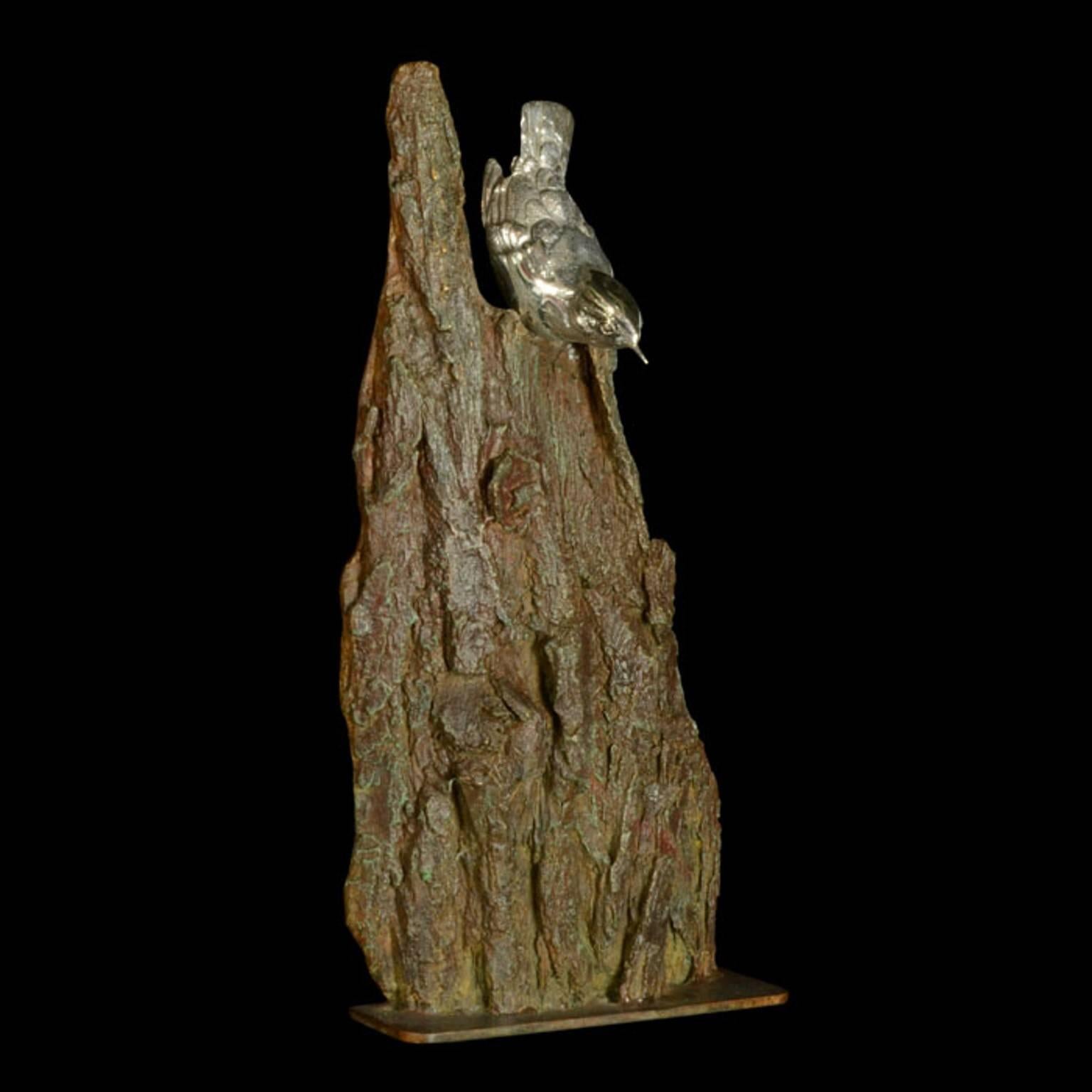 Ian Bowles Figurative Sculpture - A finely modelled sterling silver Nuthatch on a bronze bark