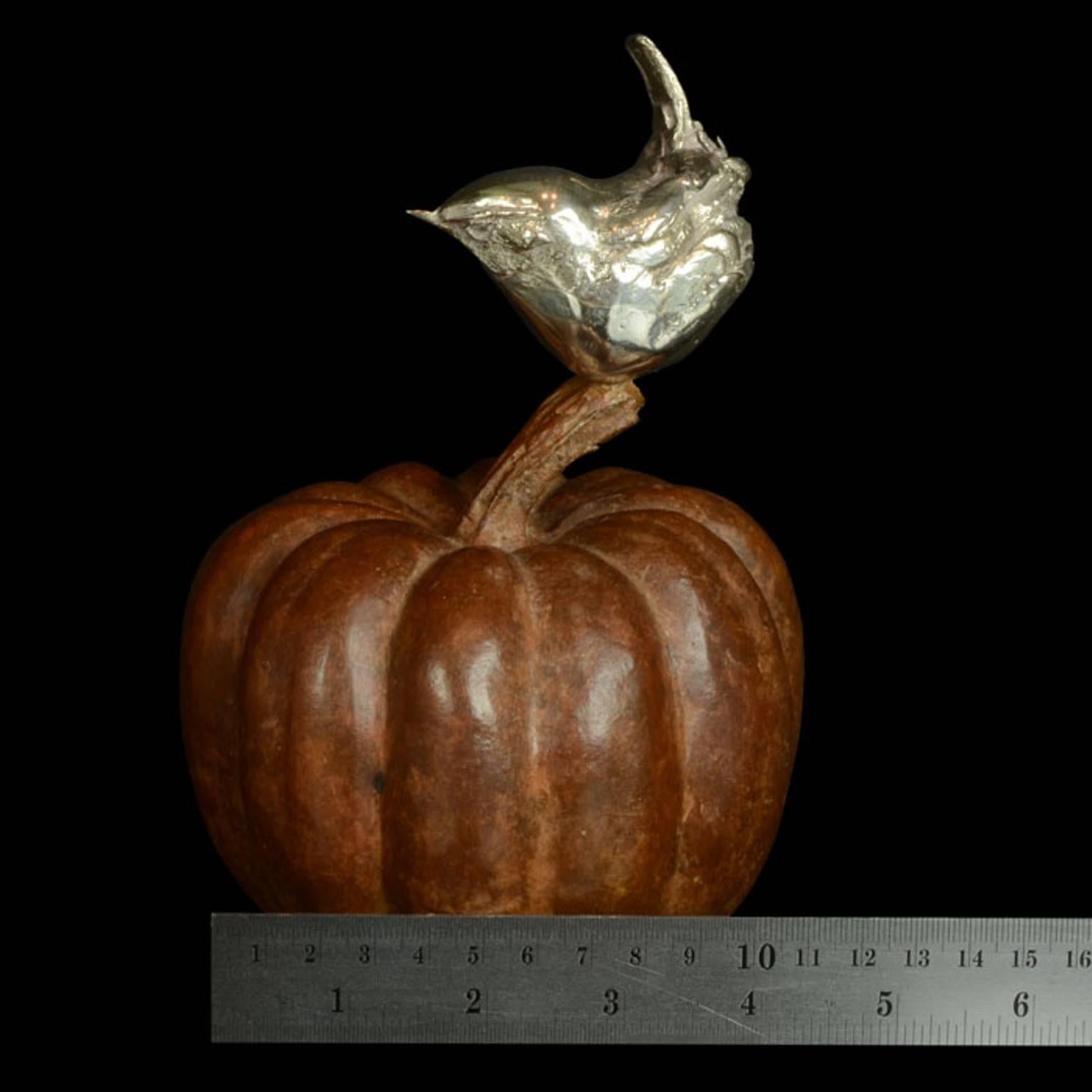 'Wren on a Pumpkin' Silver & Bronze Limited Edition Sculpture by Ian Bowles 1