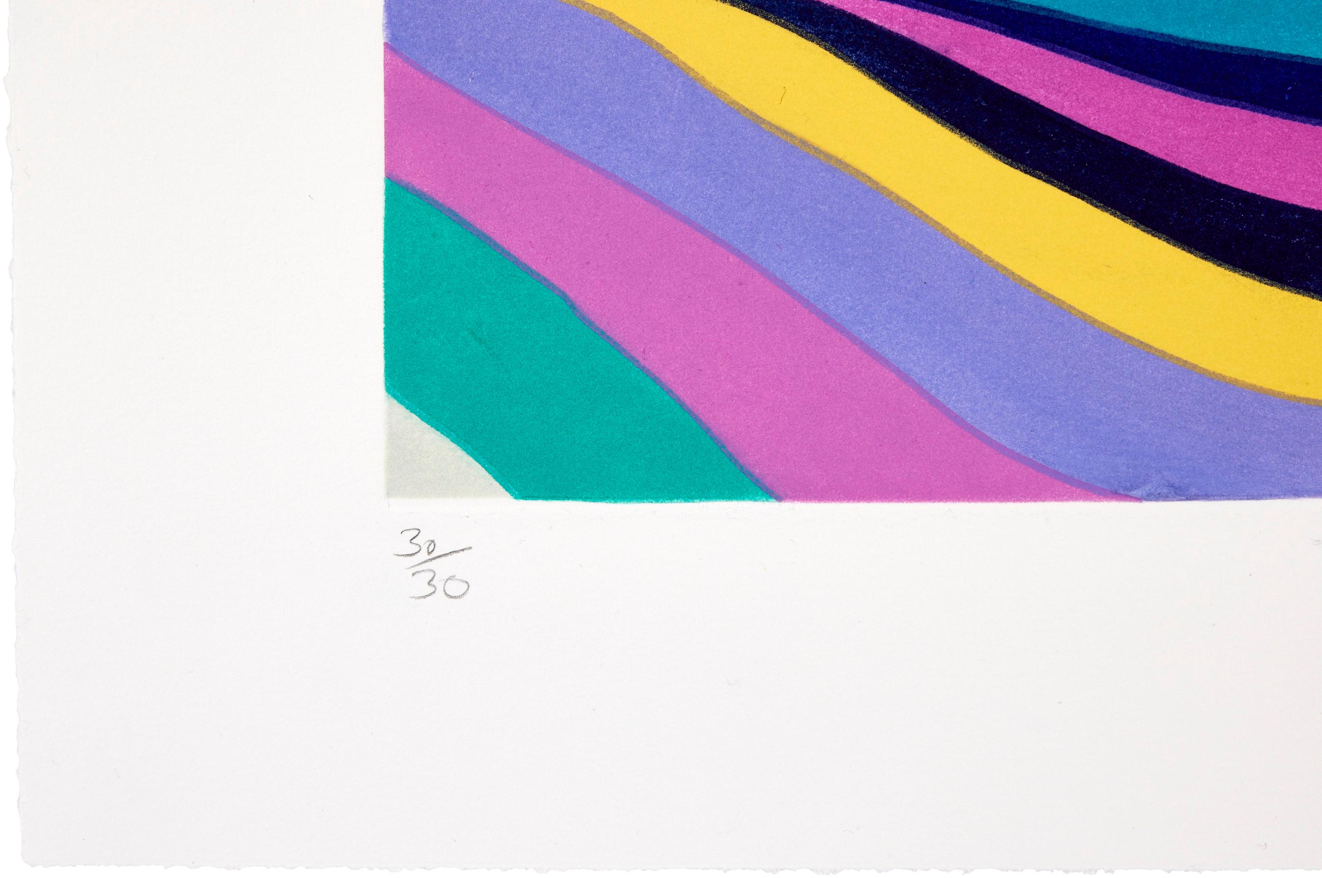 Evening -- Print, Etching, Coloured Lines, Colourful Art by Ian Davenport For Sale 1
