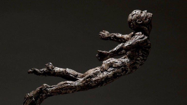 Ian Edwards - Leap Of Faith - Original Signed Bronze Sculpure For Sale 1