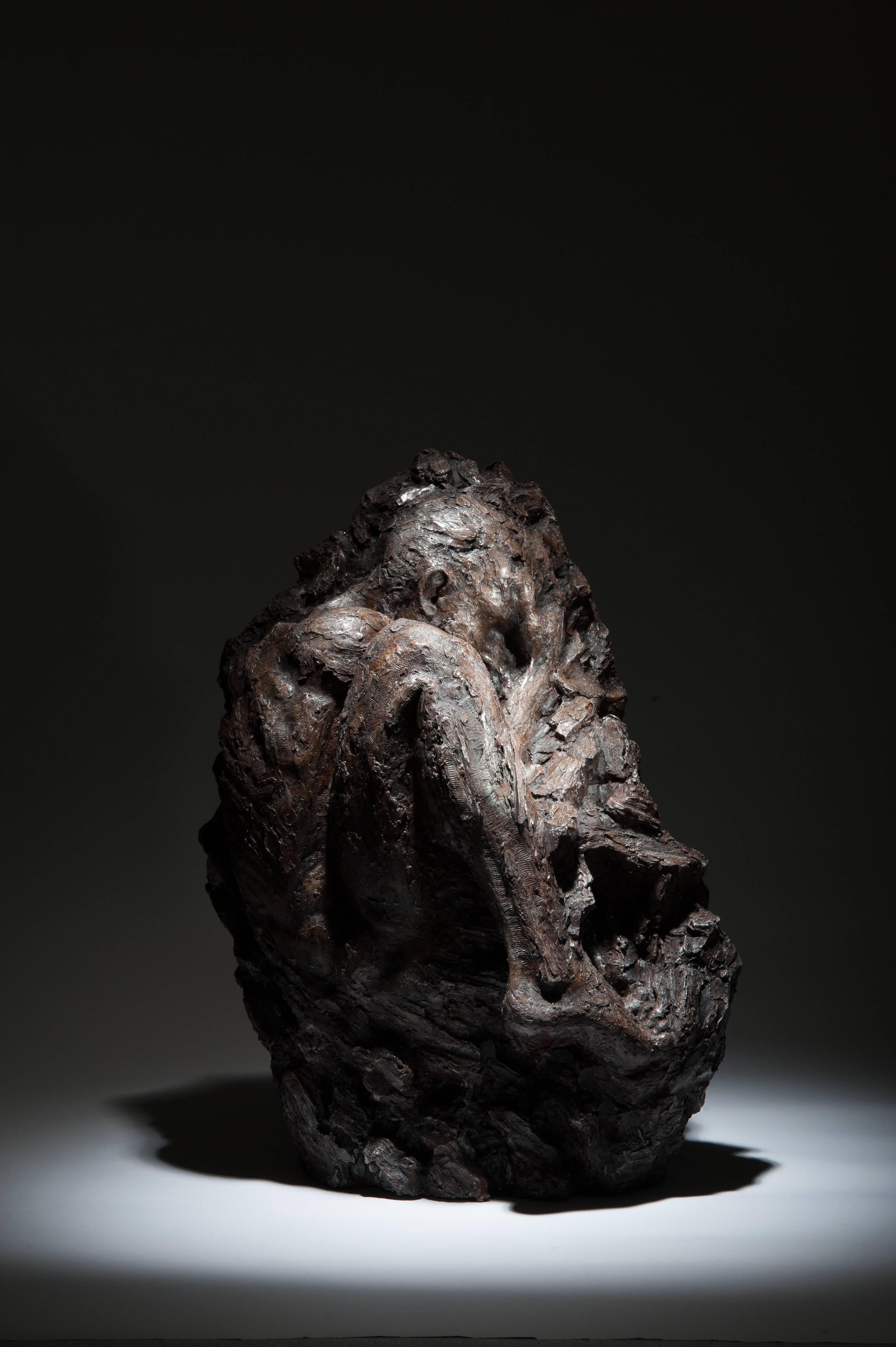 Ian Edwards - Within Unfolding - Original Signed Bronze Sculpure