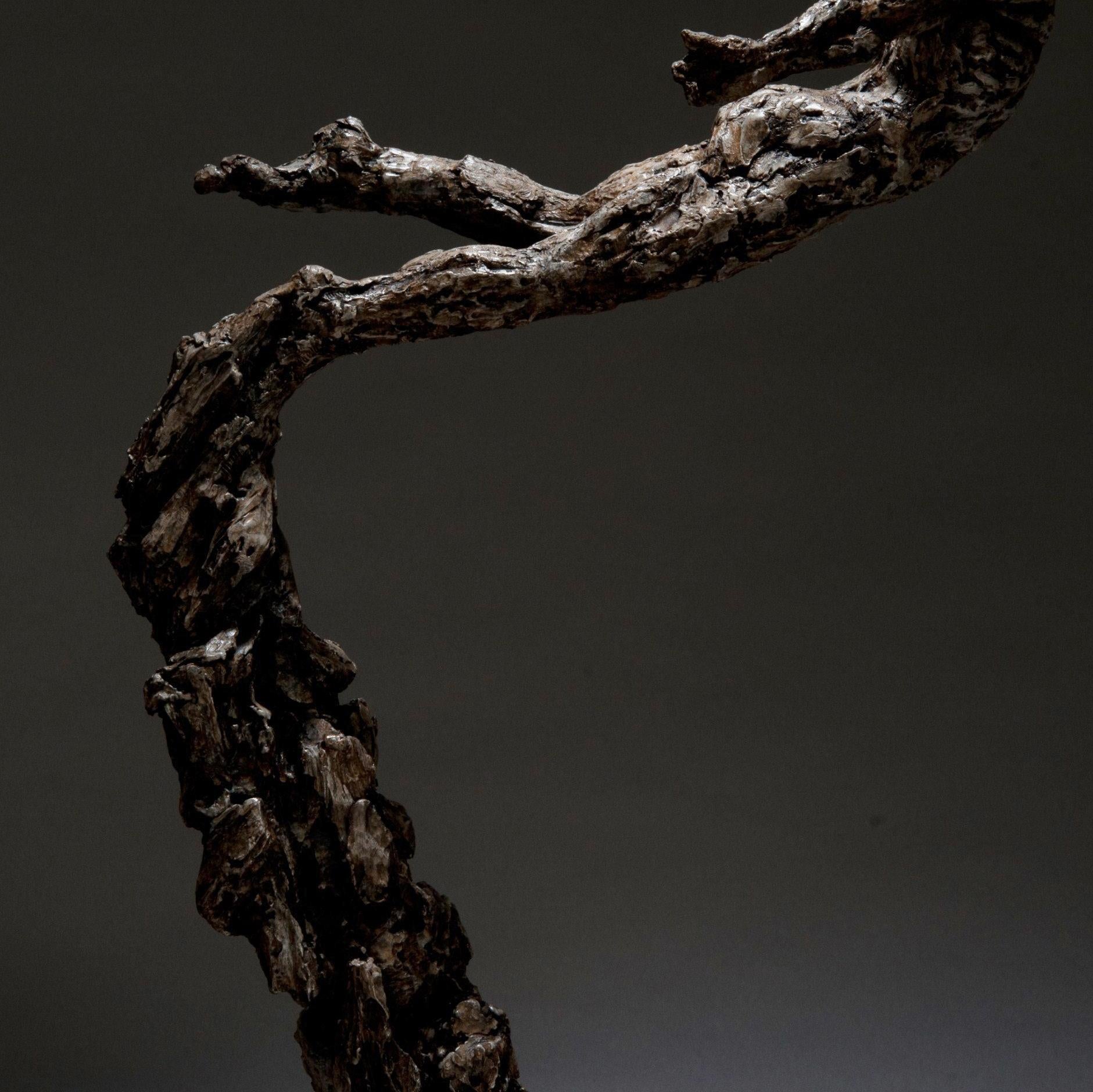 Ian Edwards - Born	within Fire - Original Signed Bronze Sculpure
Dimensions: 155 x 80 x 50 cm 
Edition of 12	

Edwards’ practice expresses the power and determination of human endeavour. He
draws inspiration from natural forces, with his powerful
