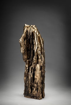 Ian Edwards  El Surgimiento - Bronce