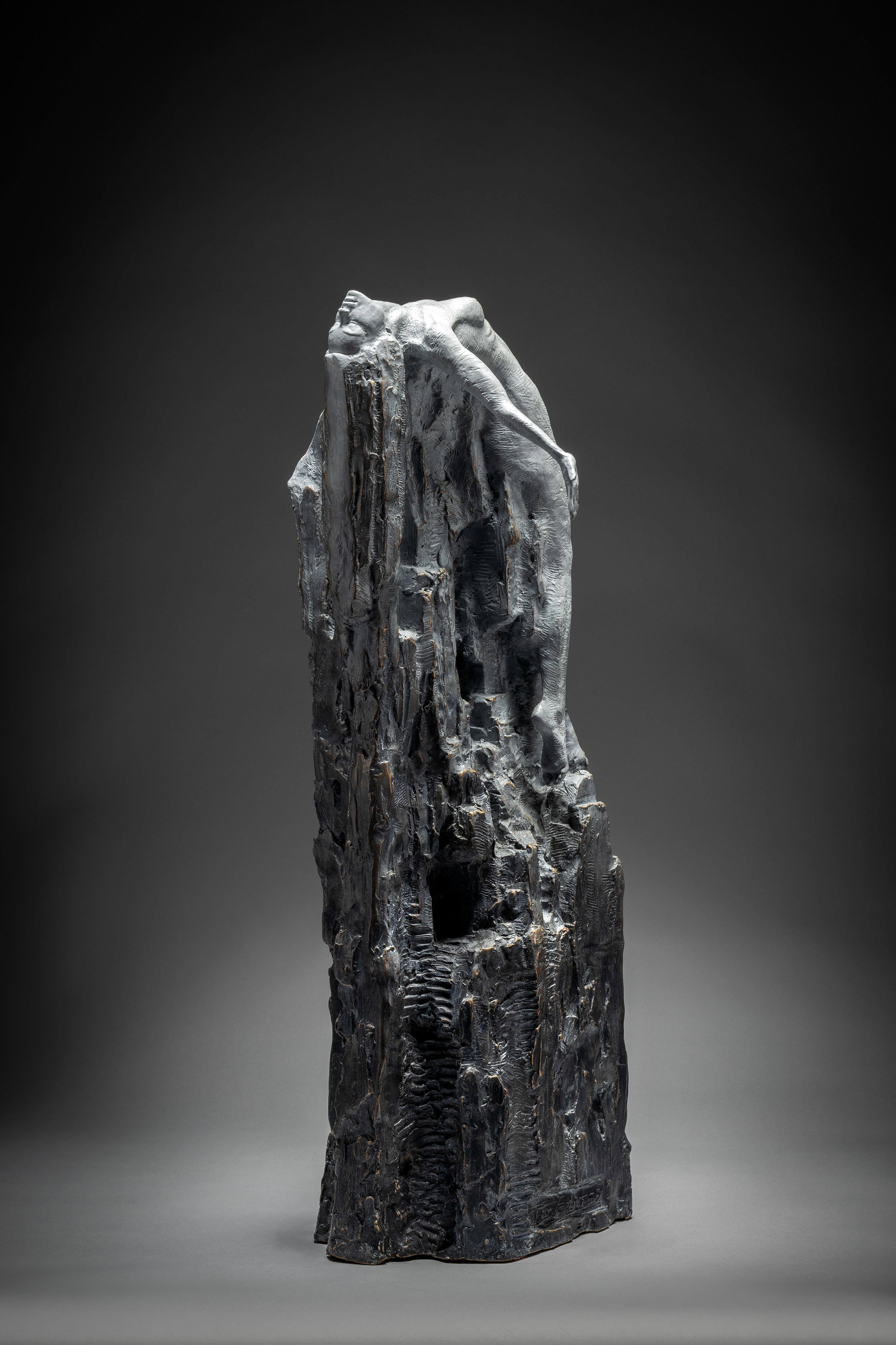 Ian Edwards  The Emergence - Bronzo con patina in vendita 2