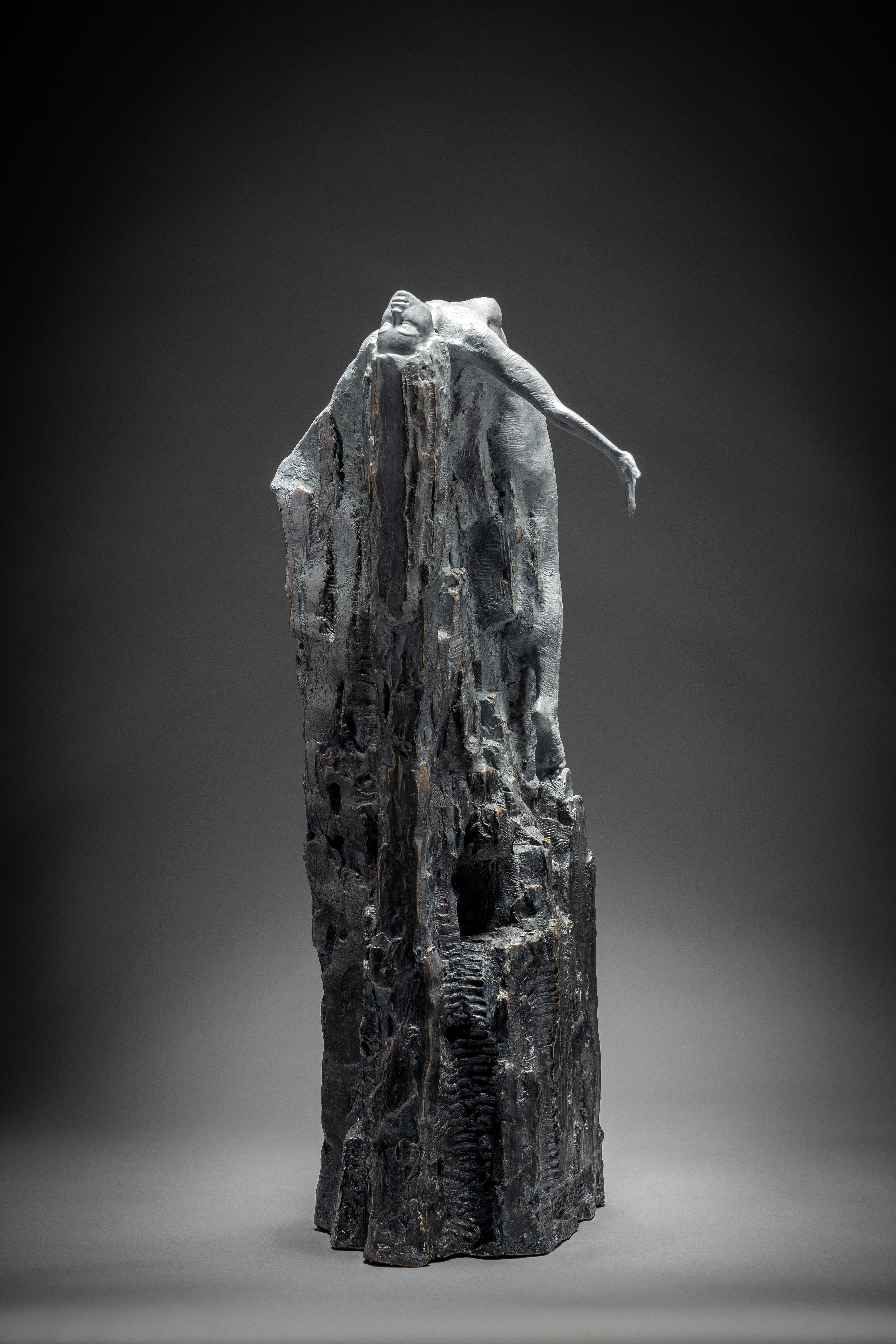 Ian Edwards  The Emergence - Bronzo con patina in vendita 3
