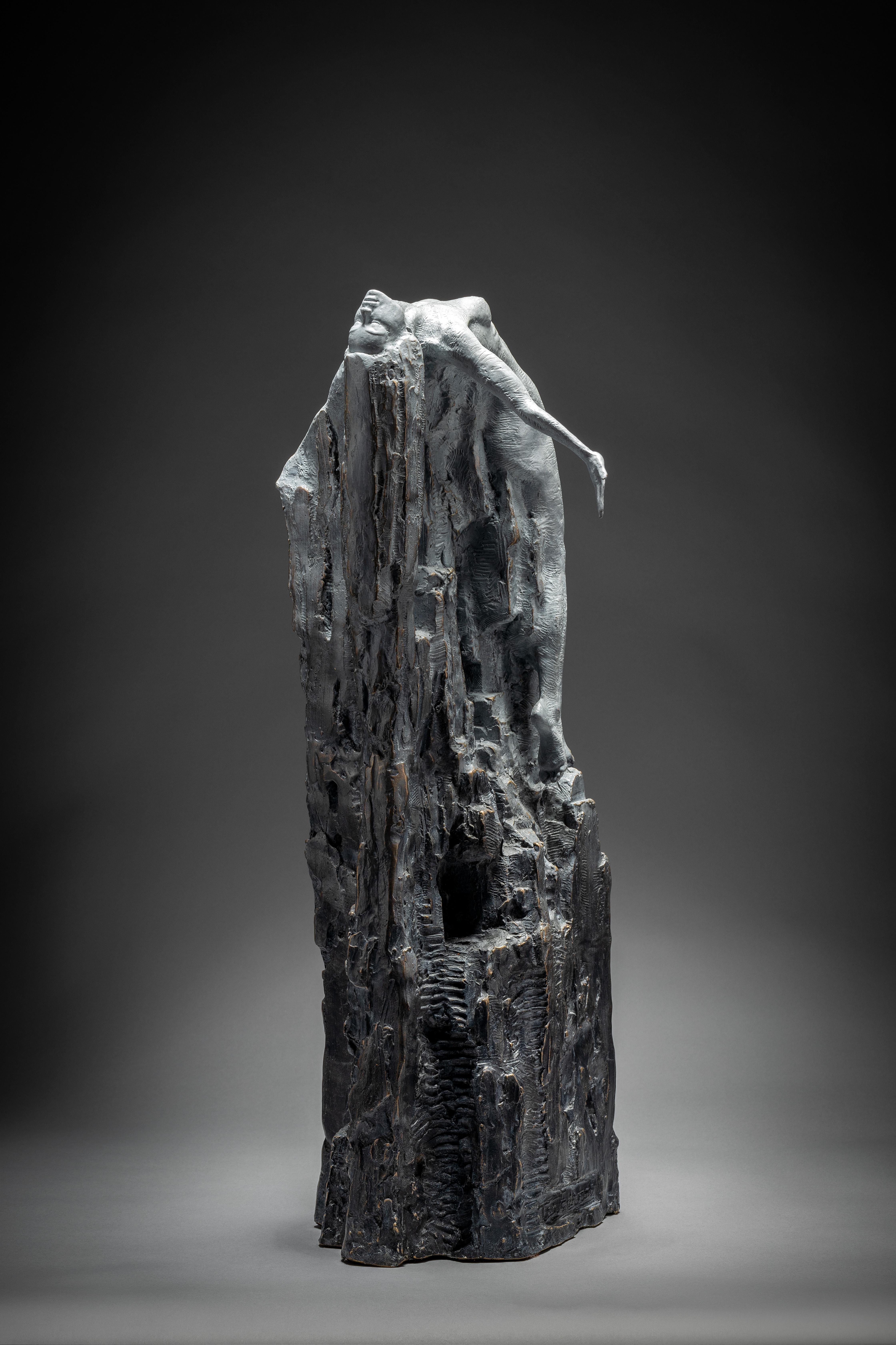 Ian Edwards  The Emergence - Bronzo con patina in vendita 4