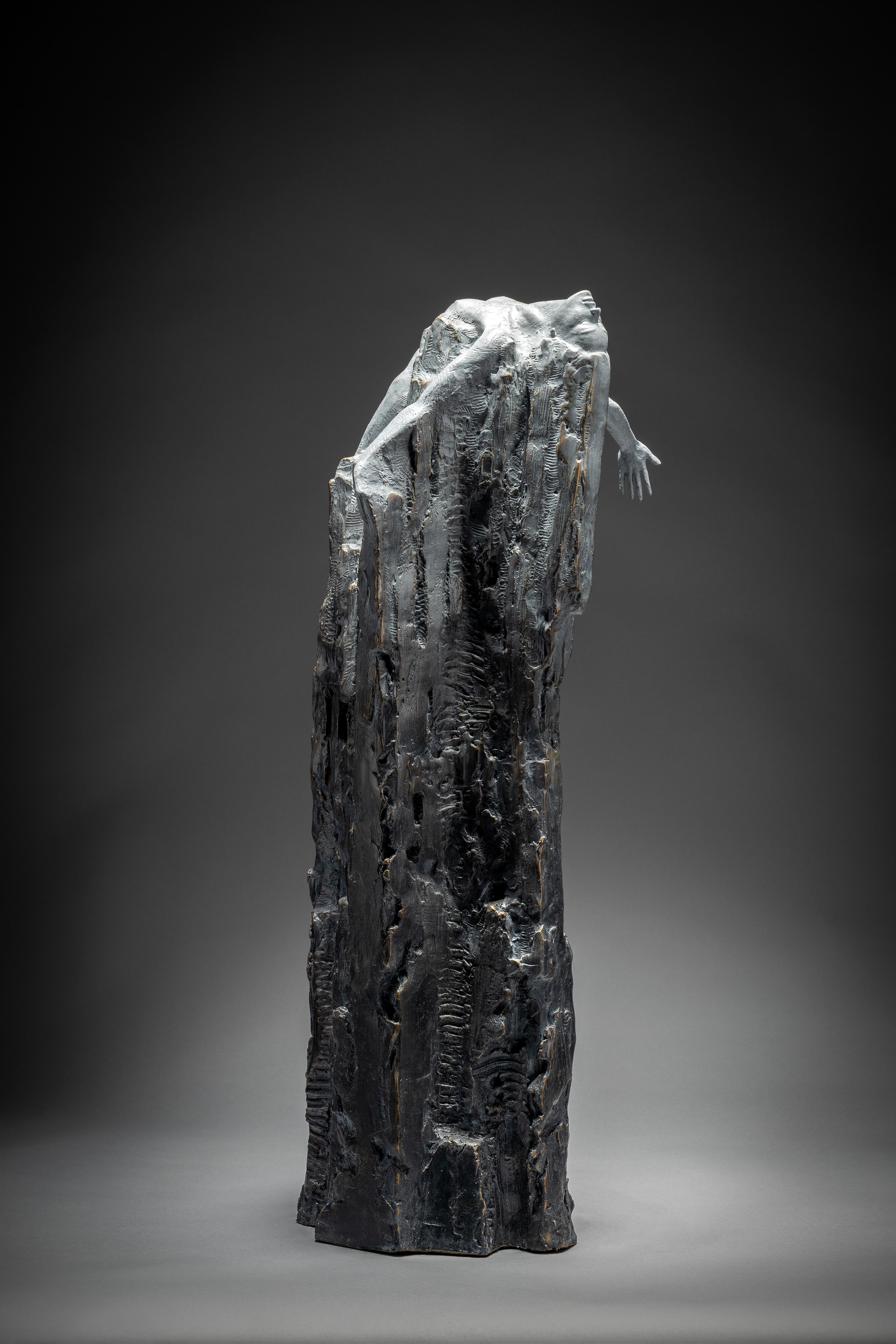 Ian Edwards  The Emergence - Bronzo con patina in vendita 5