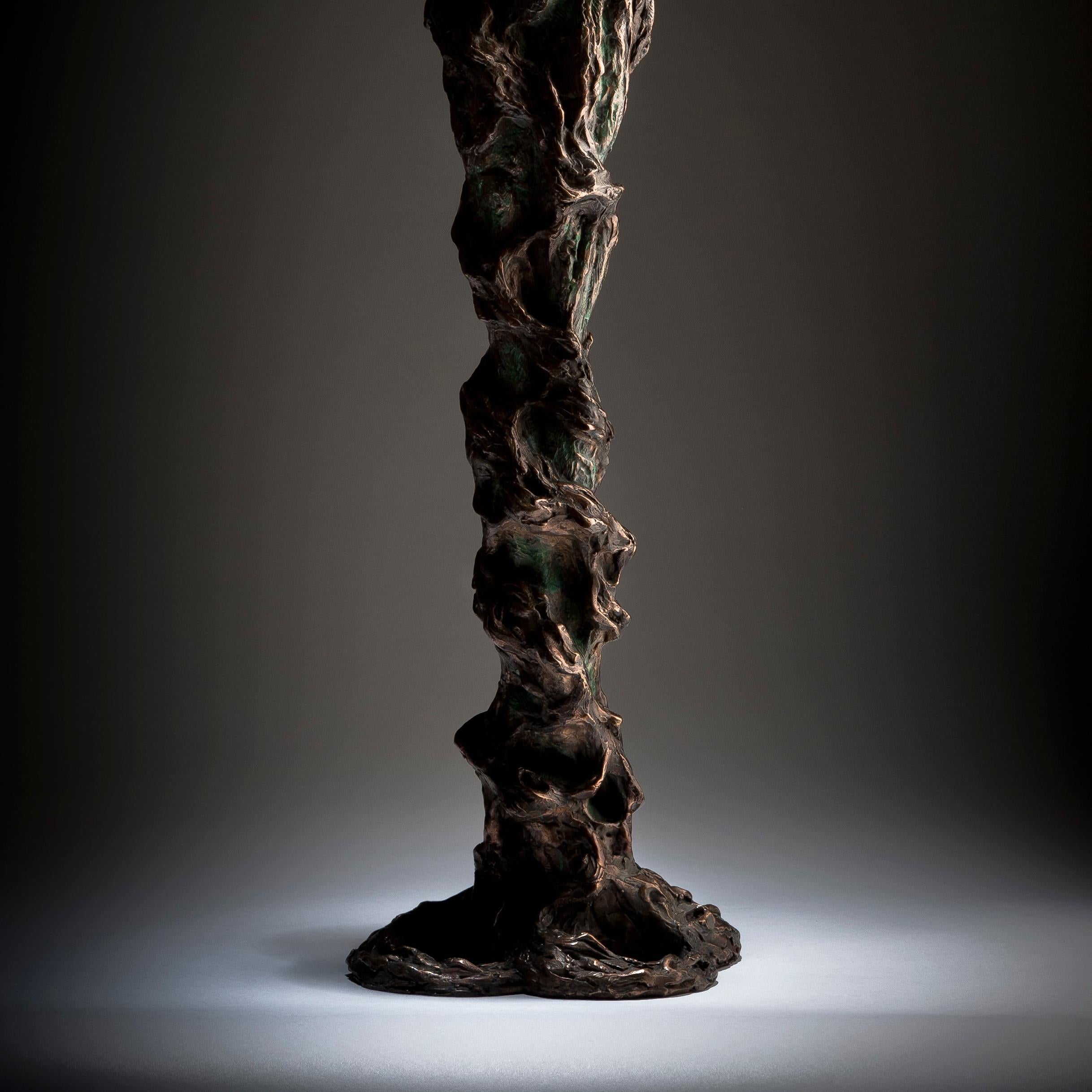 Ian Edwards - The Root Within - Original Signed Bronze Sculpure
Dimensions: 220 x 70 x 70 cm 
Edition of 6

Edwards’ practice expresses the power and determination of human endeavour. He
draws inspiration from natural forces, with his powerful