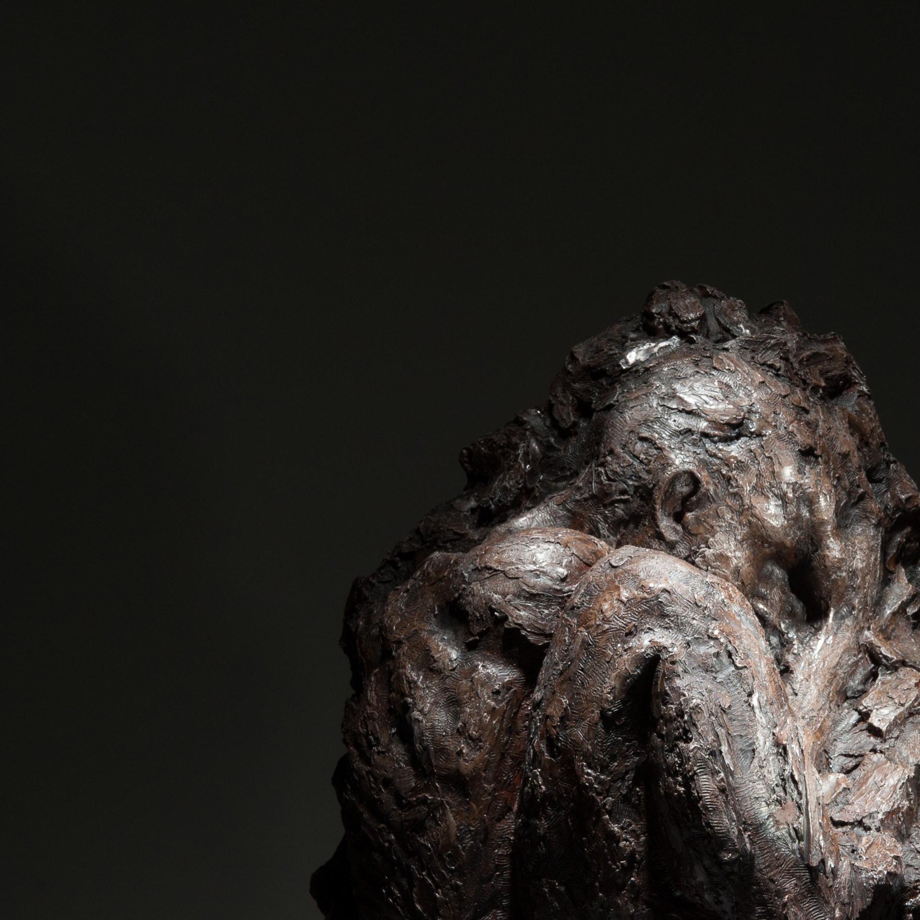 Sculpture originale en bronze signée Ian Edwards - Within Unfolding en vente 1