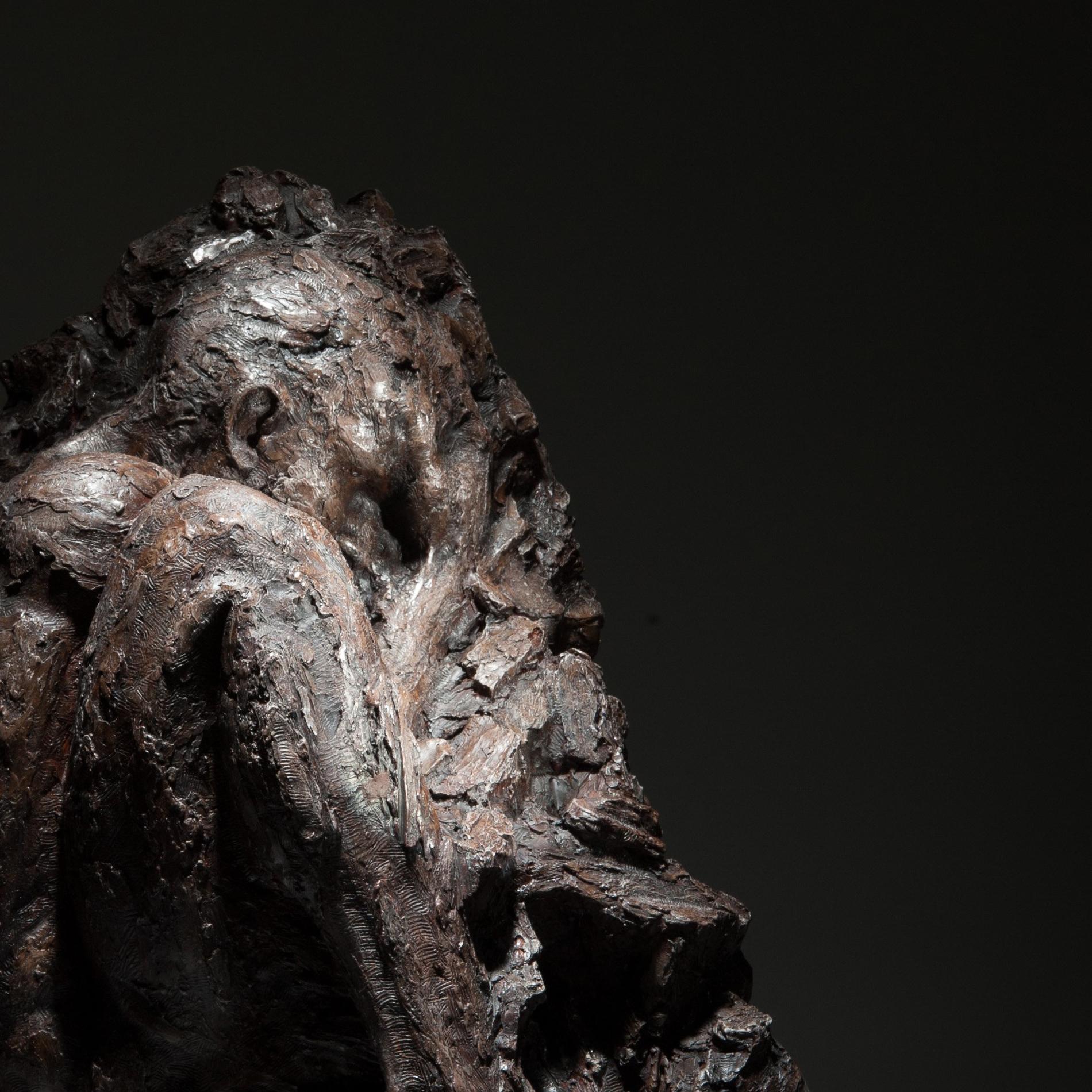 Sculpture originale en bronze signée Ian Edwards - Within Unfolding en vente 2