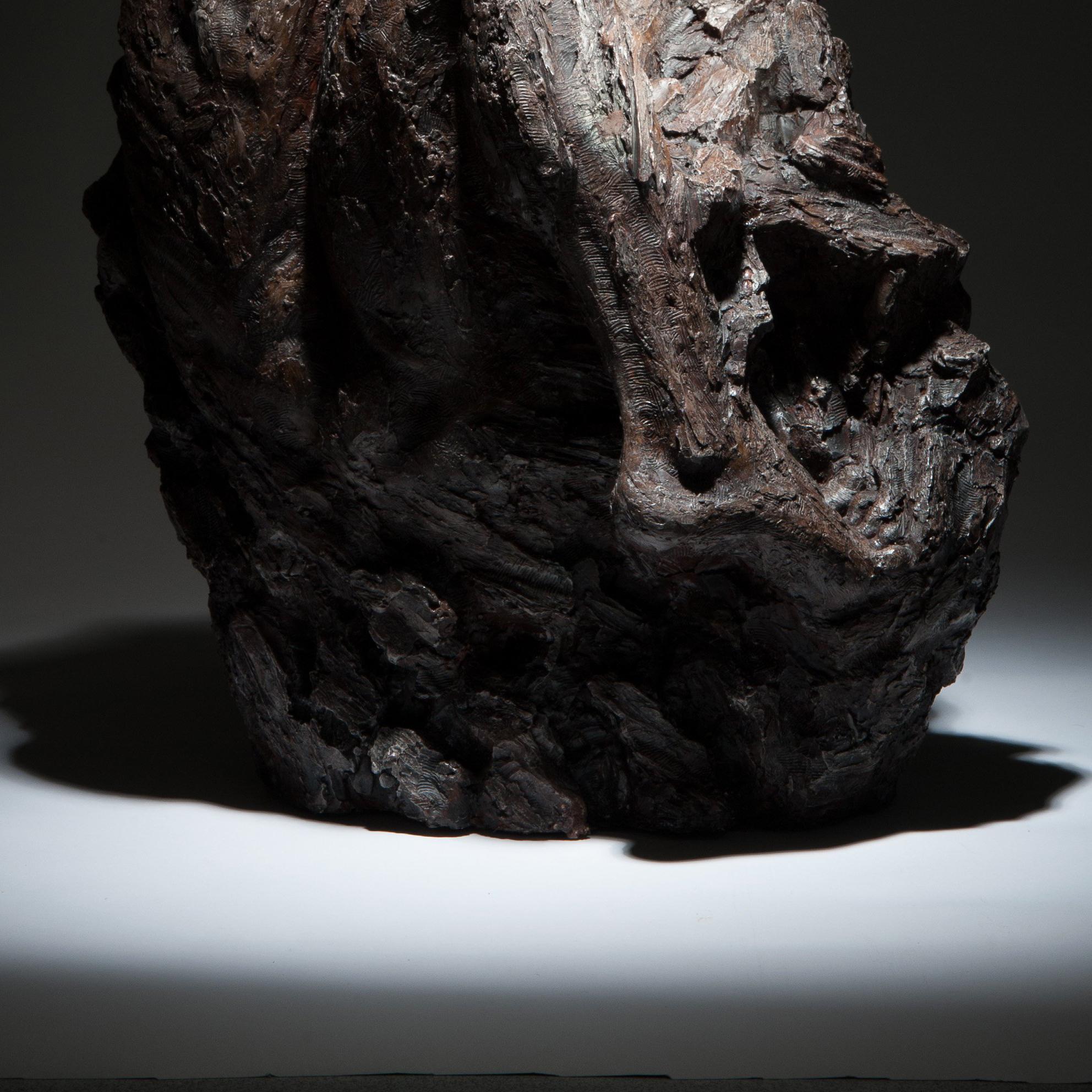 Sculpture originale en bronze signée Ian Edwards - Within Unfolding en vente 3