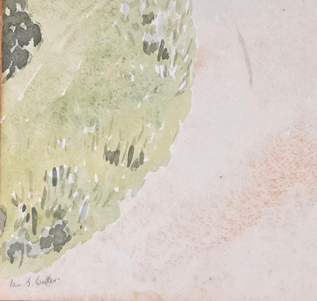 Medium: Aquarell auf Papier, ungerahmt
Größe: 14 Zoll (Höhe) x 10 Zoll (Breite)
Unterschrieben: Ja
Zustand: Guter Zustand, mit leichten Stockflecken
Provenienz: Privatsammlung

Beschreibung:
Dieses fein detaillierte Aquarell von Ian G. Walker zeigt