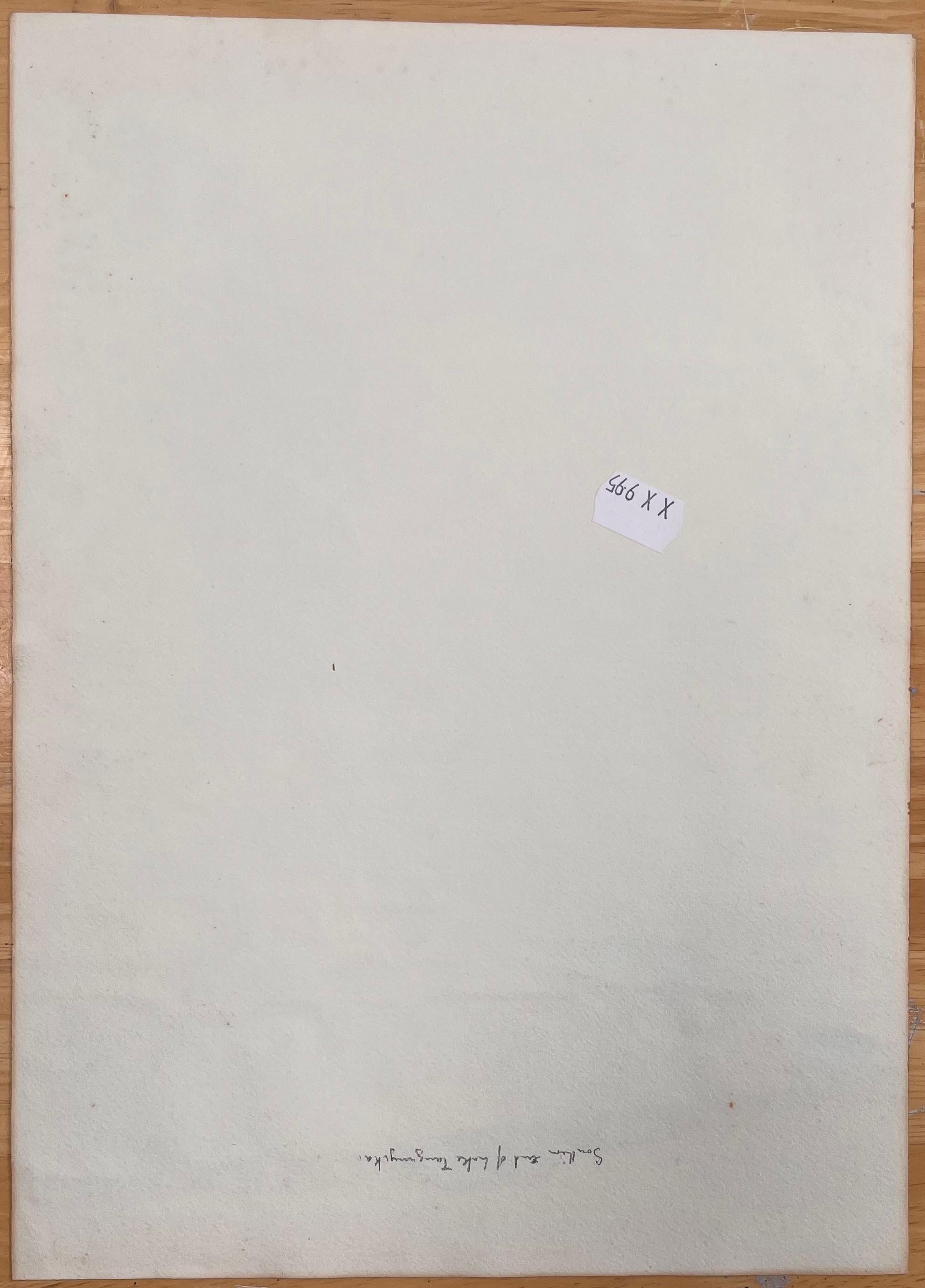 Fein detailliertes britisches Aquarell des südlichen Endes des Lake Tanganyika im Angebot 1
