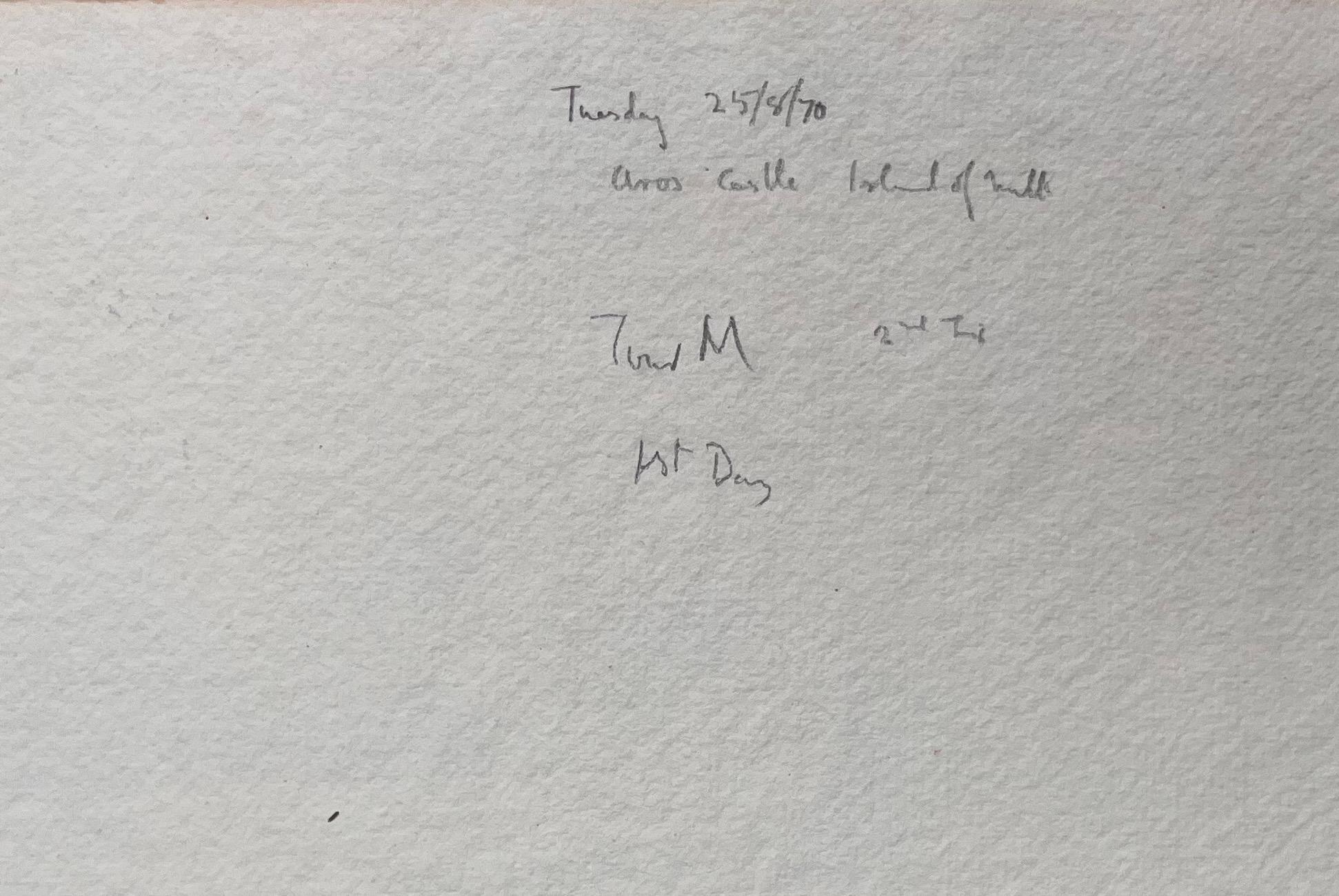 Acquerello topografico inglese finemente dettagliato del castello di Aros in vendita 2