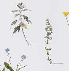 Les Femmes de la Révolution, d'après Anselm Kiefer